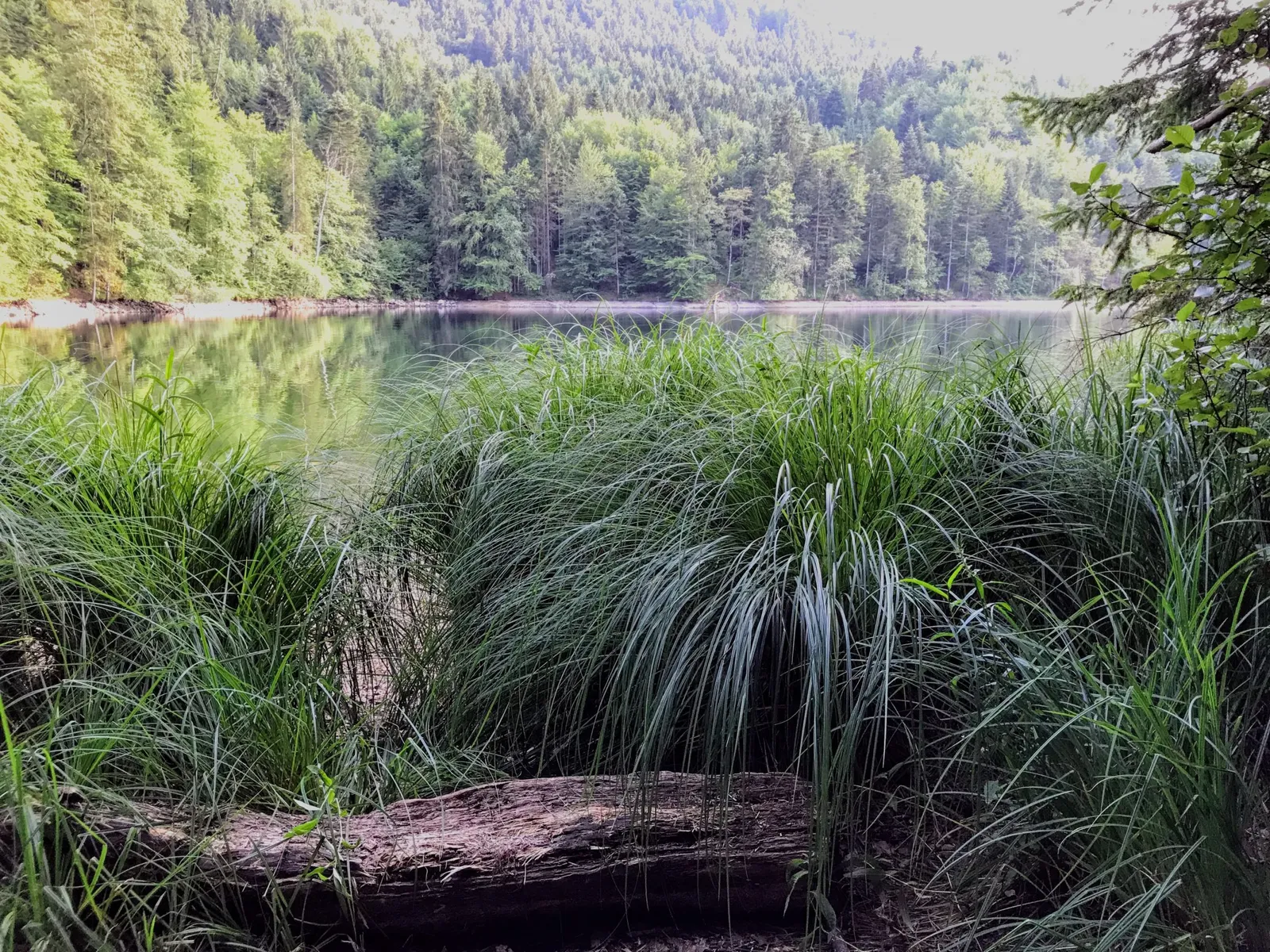 Nussensee Salzkammergut