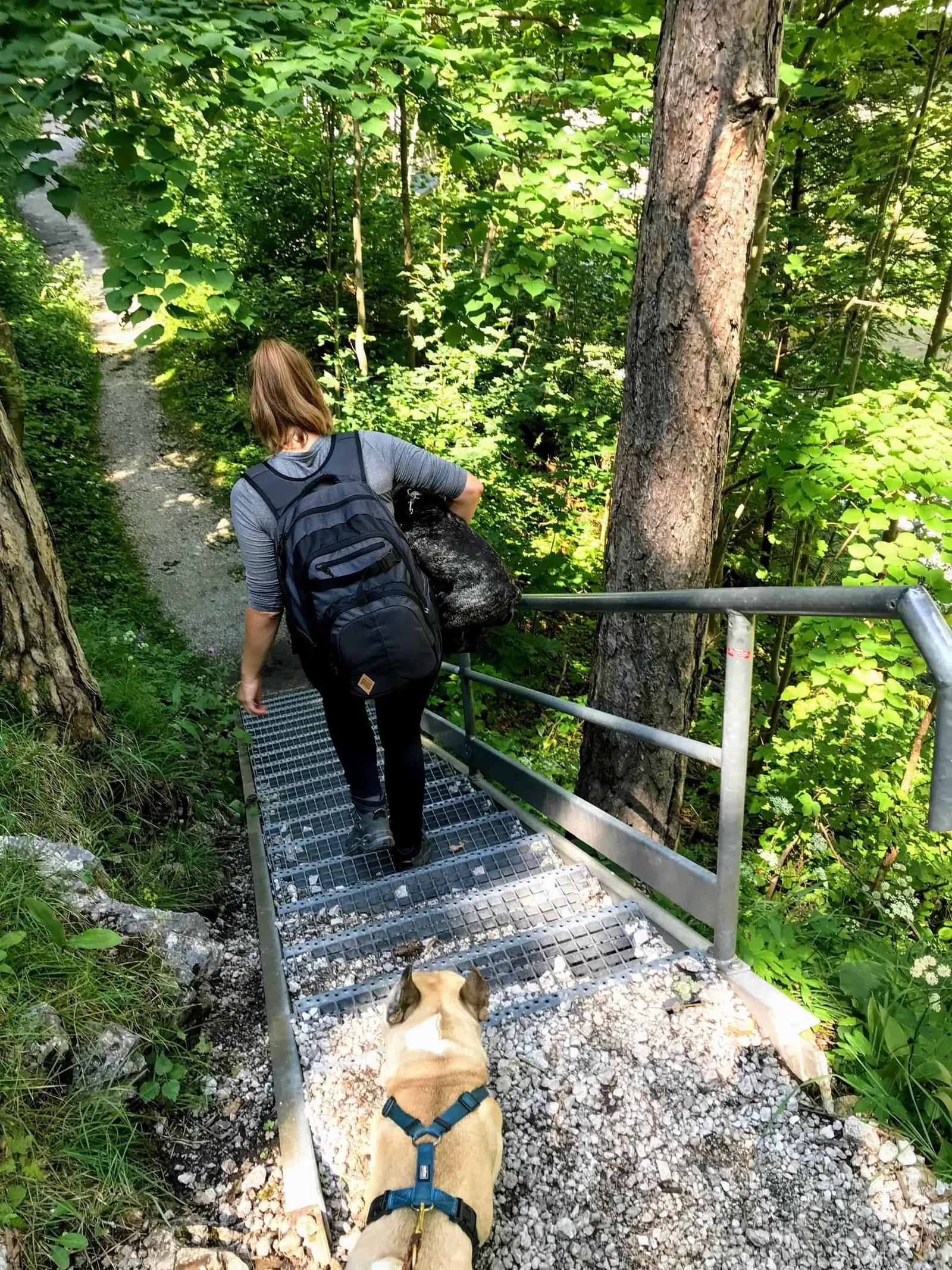 Wandern mit Hund im Höllental an der Schwarza, Niederösterreich.