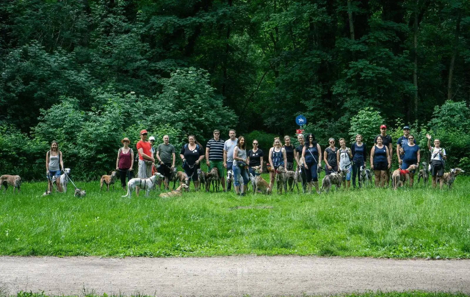10th Great Global Greyhound Walk in Vienna, 2019