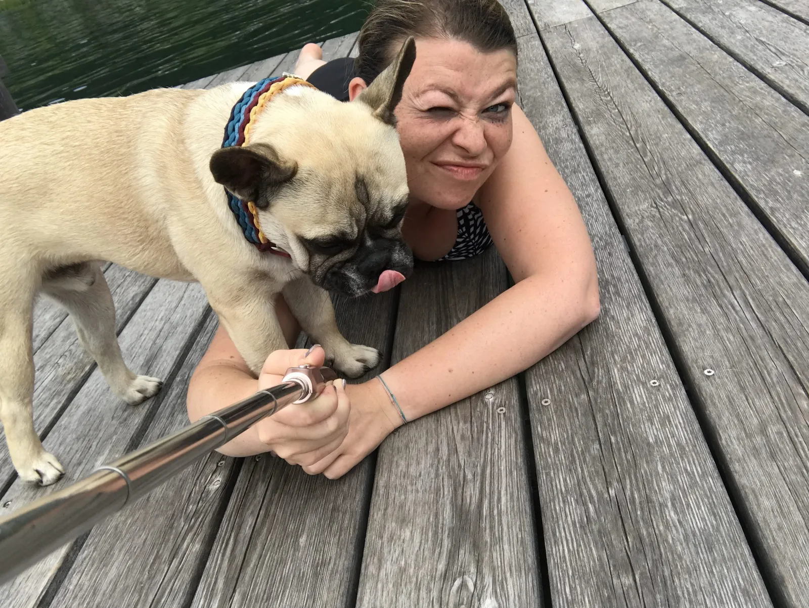 Urlaub mit Hund am Weissensee, Kärnten