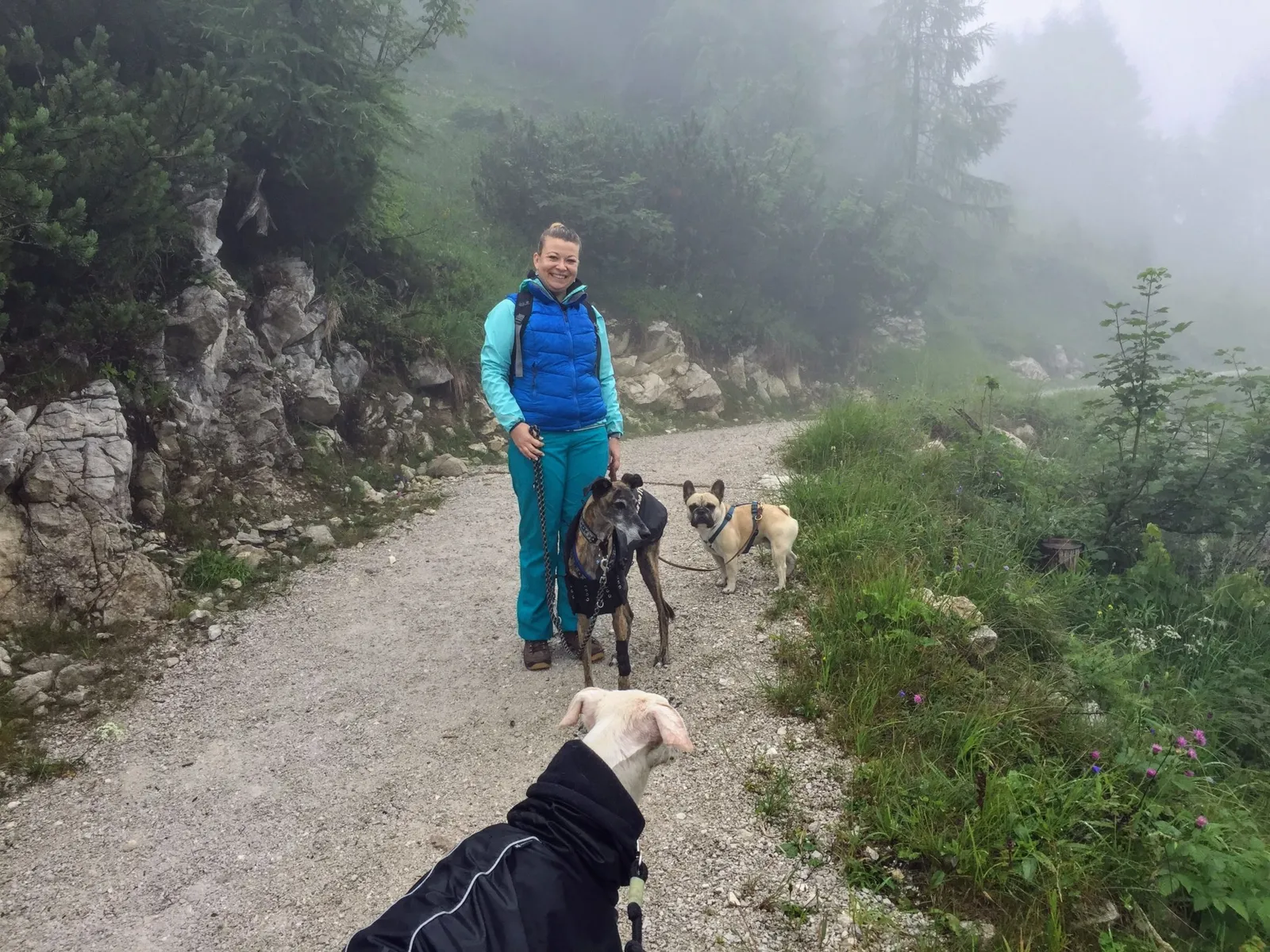 Bad Ischl Katrinalm