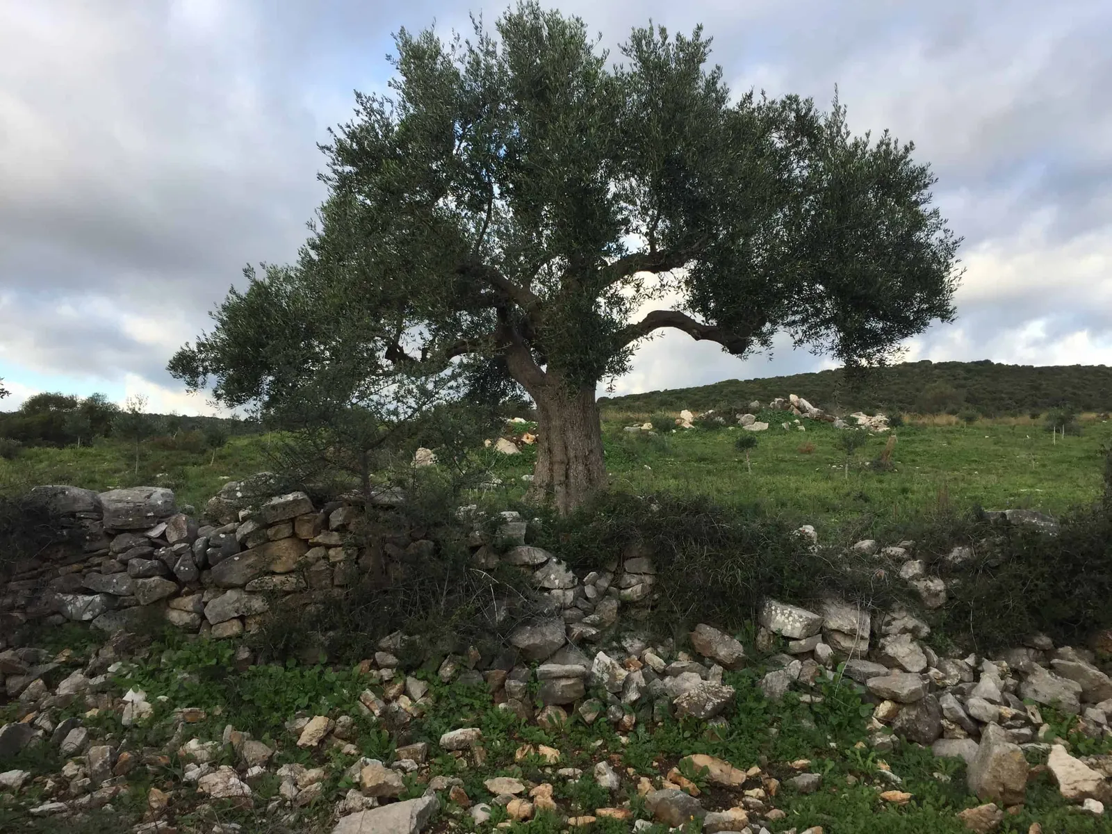 Urlaub mit Hund in Griechenland - über Aussteiger und Wanderungen