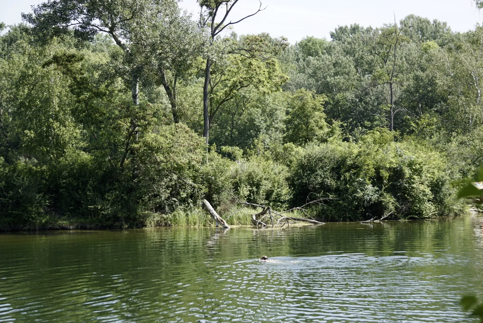 Lobau