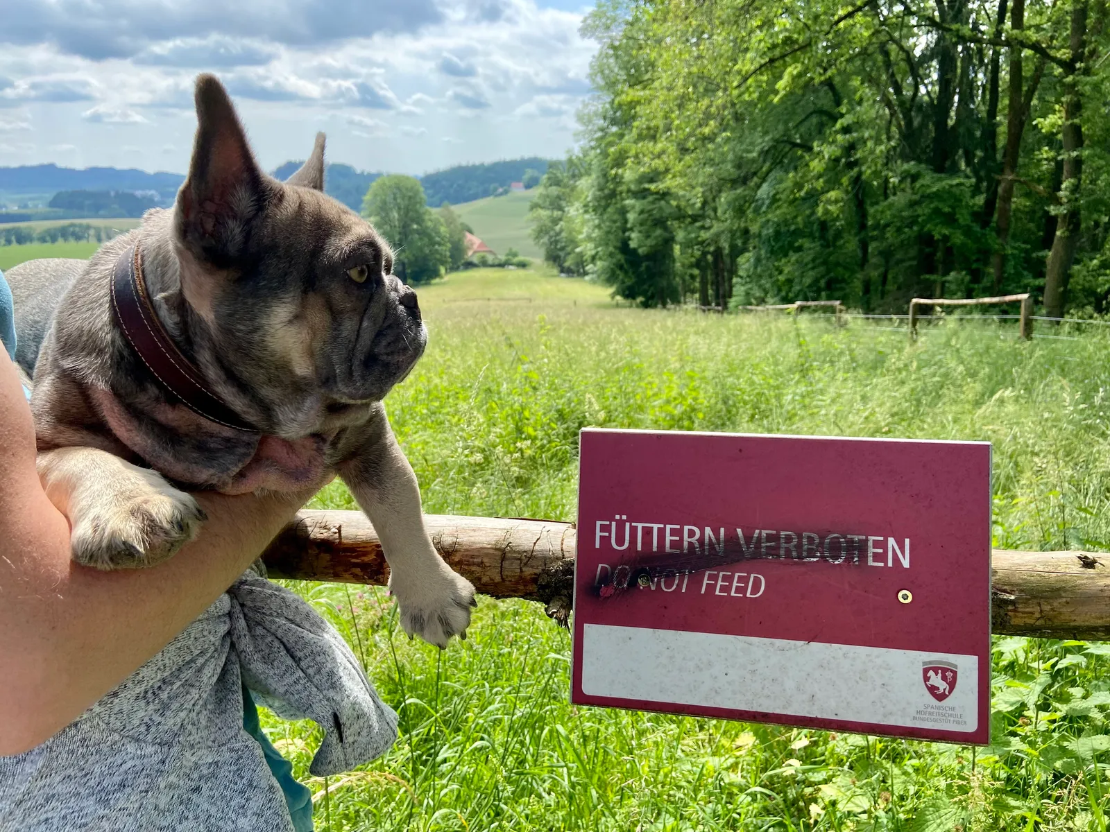 Archie und Fuettern verboten Schild