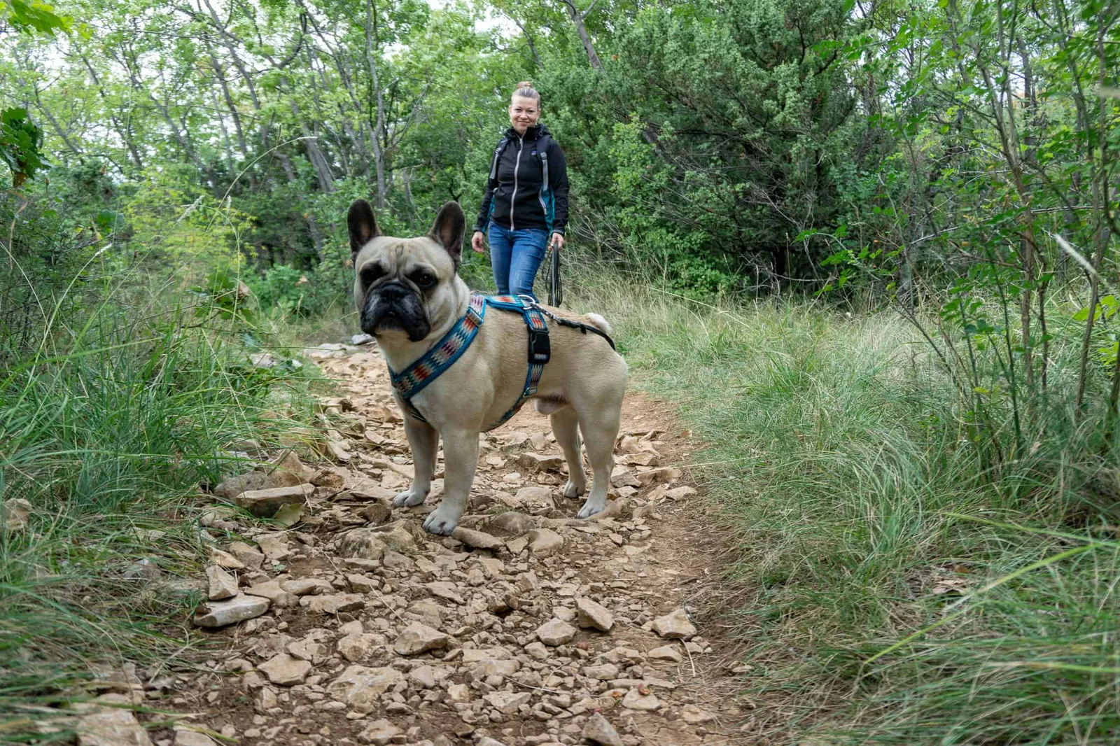Vela Draga Park Prirode Učka Urlaub mit Hund