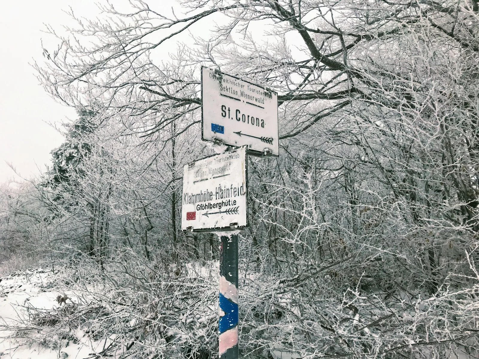 Hundewanderung