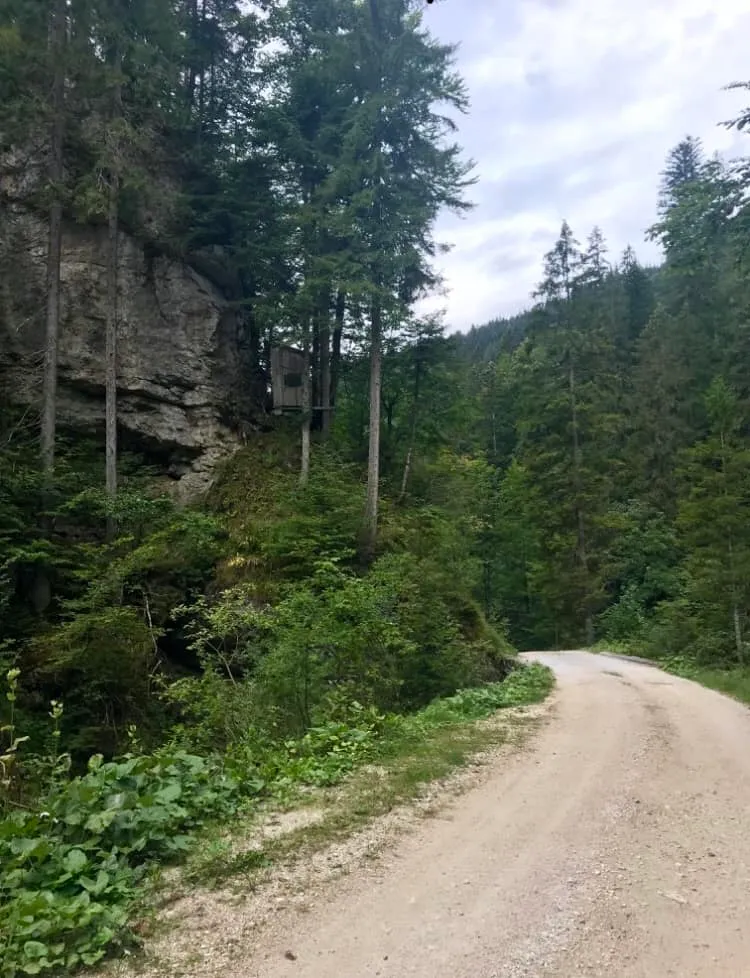 Urlaub mit Hund - Rußbach, Gosau, Traunsee - Salzburg & Oberösterreich