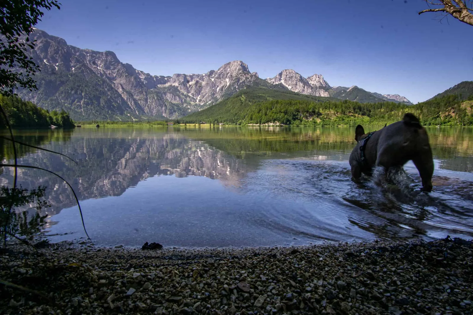 Almsee Grünau Hundereise