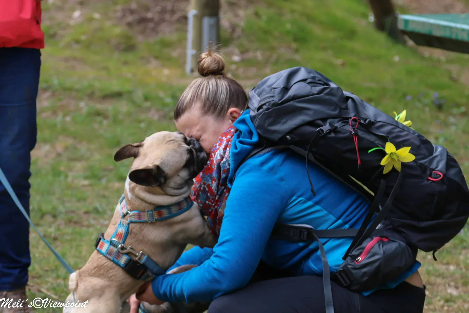 Kräuterwanderung mit Hund in Wöllersdorf-Steinabrückl