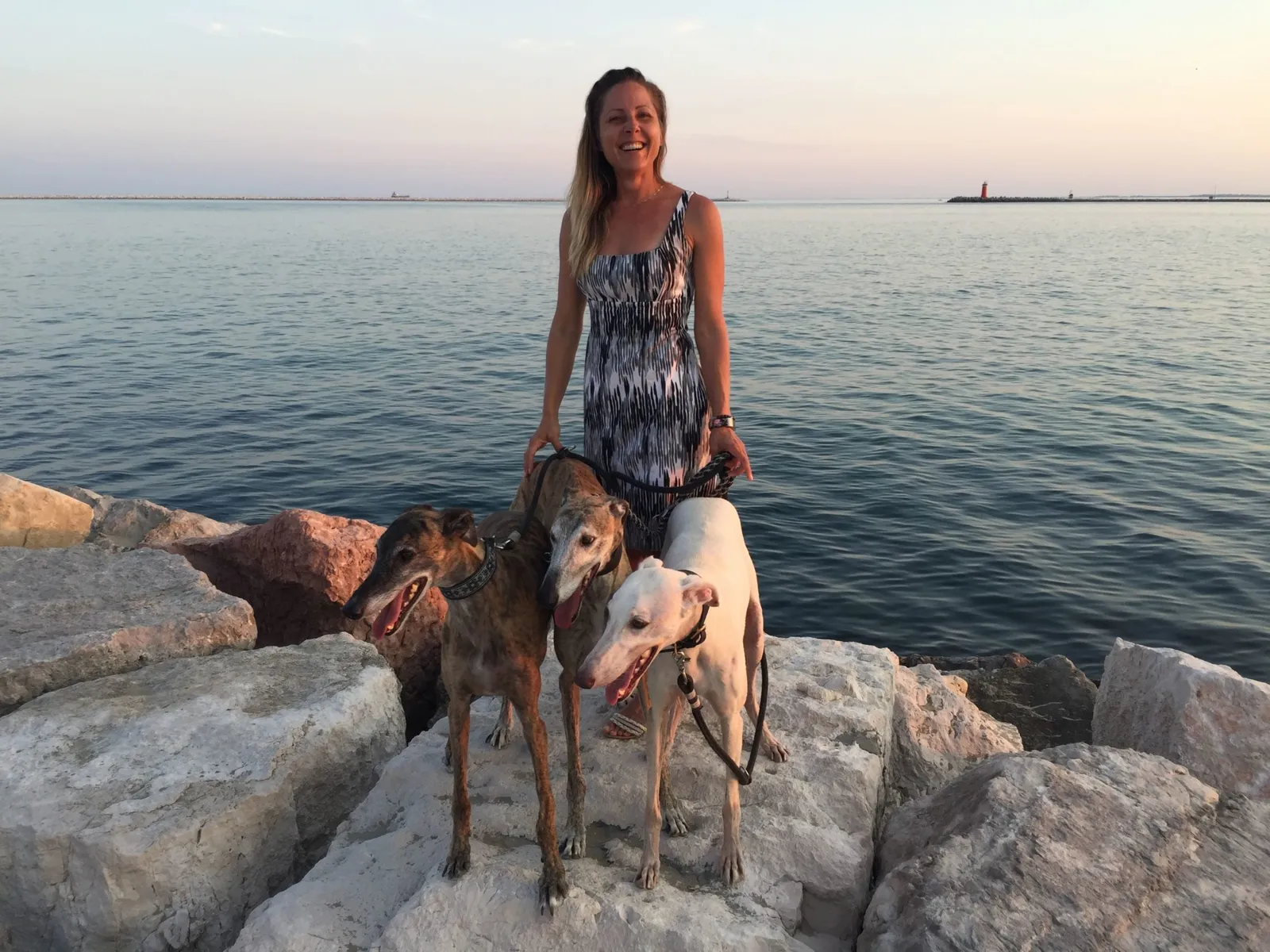 Urlaub mit Hund in Italien - Spanische Galgos in Cavallino-Treporti