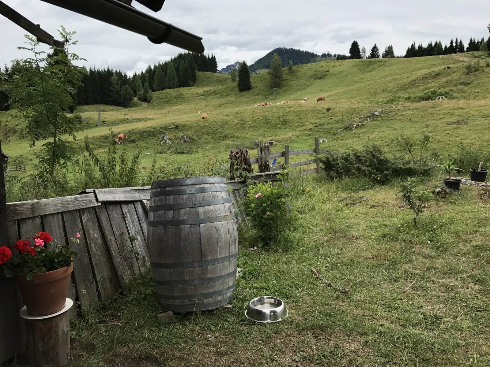 Urlaub mit Hund am Weissensee, Kärnten