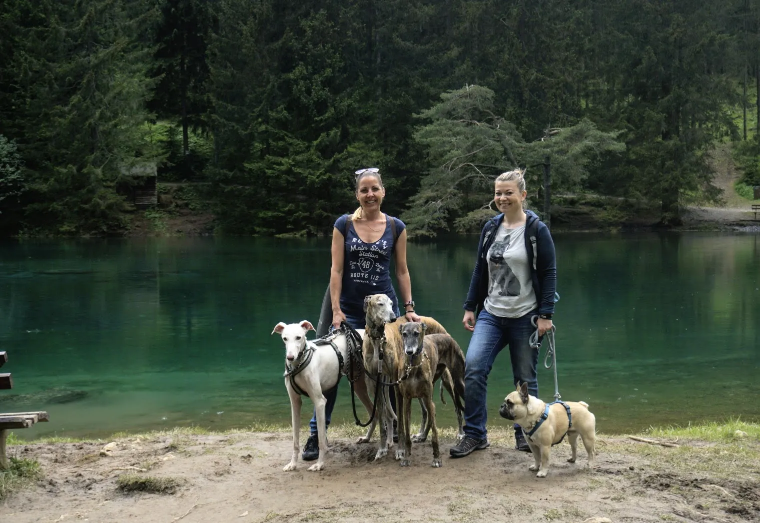 Grüner See Hundereise