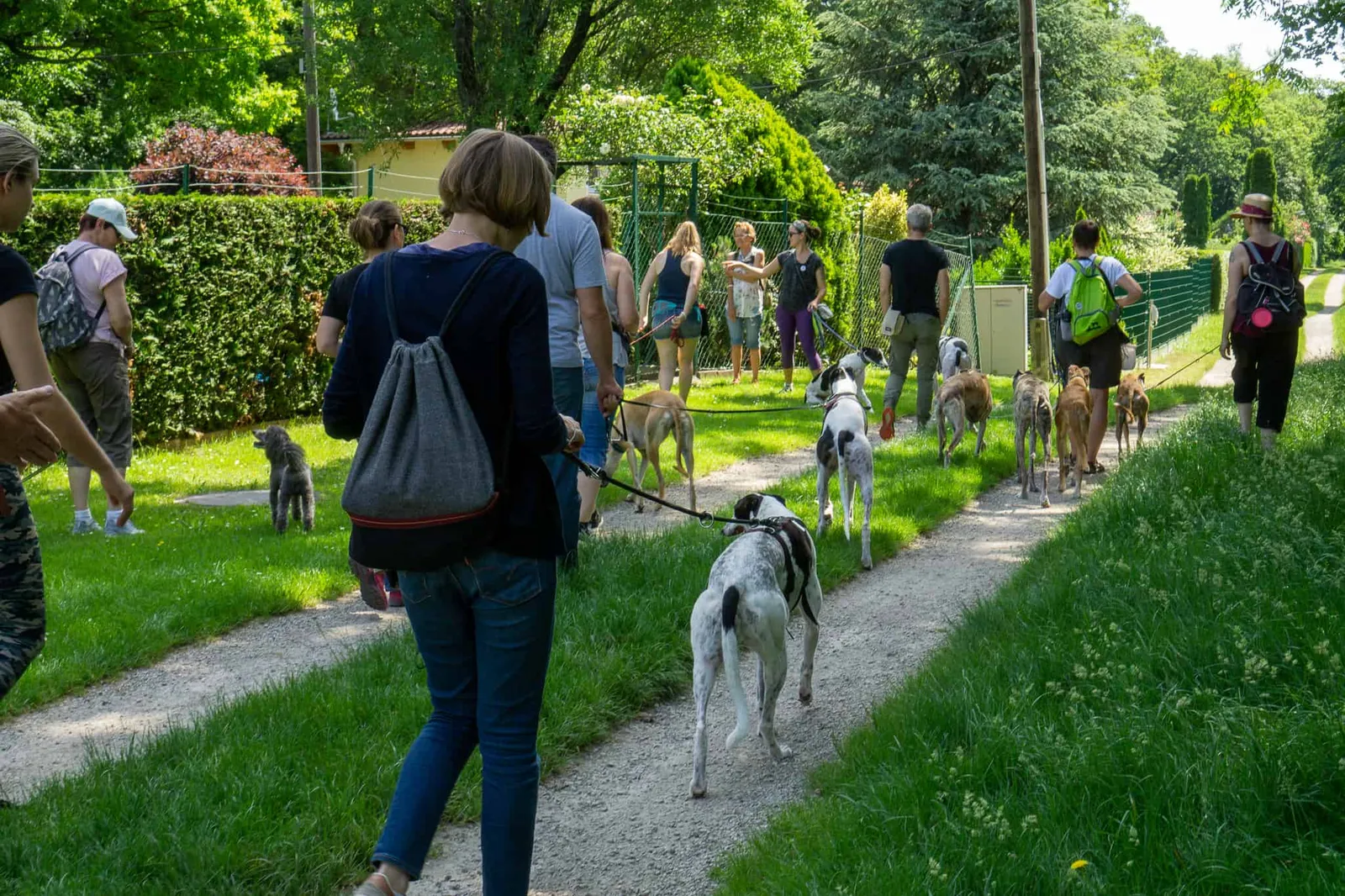 GGGW 2019 Vienna