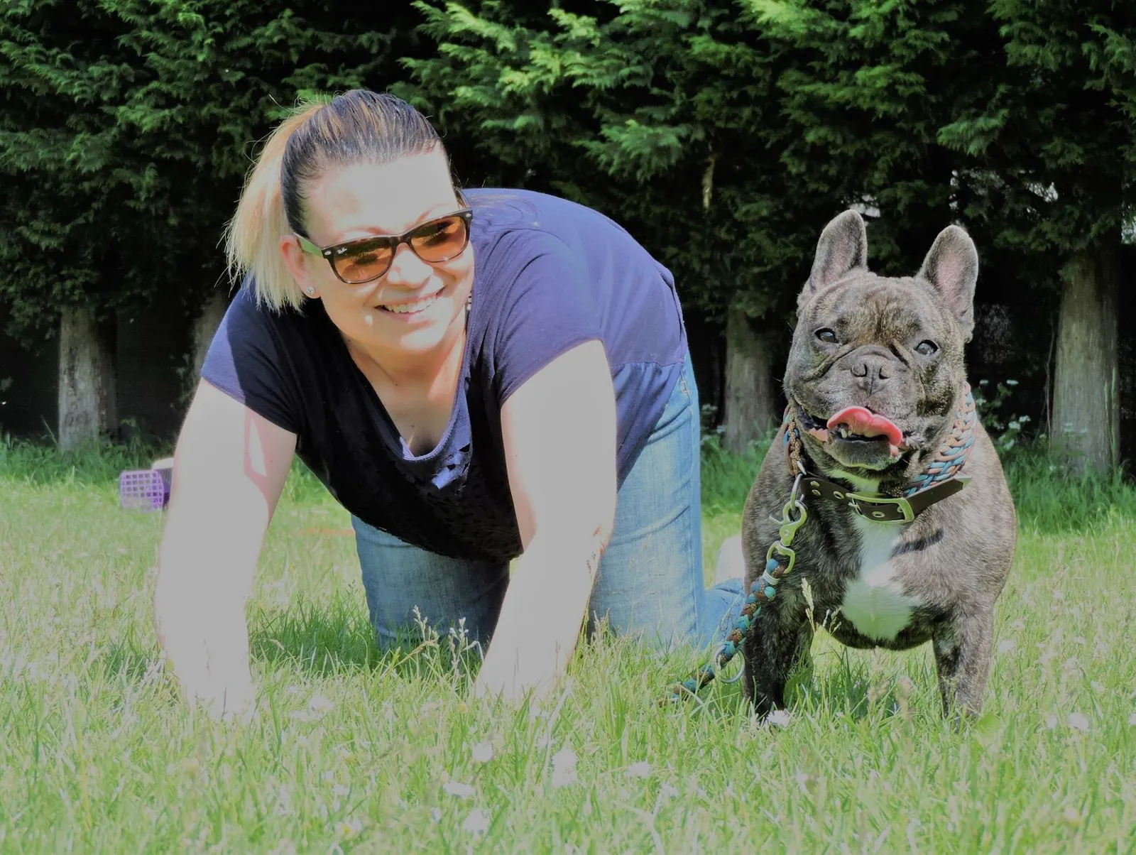 French Bulldog