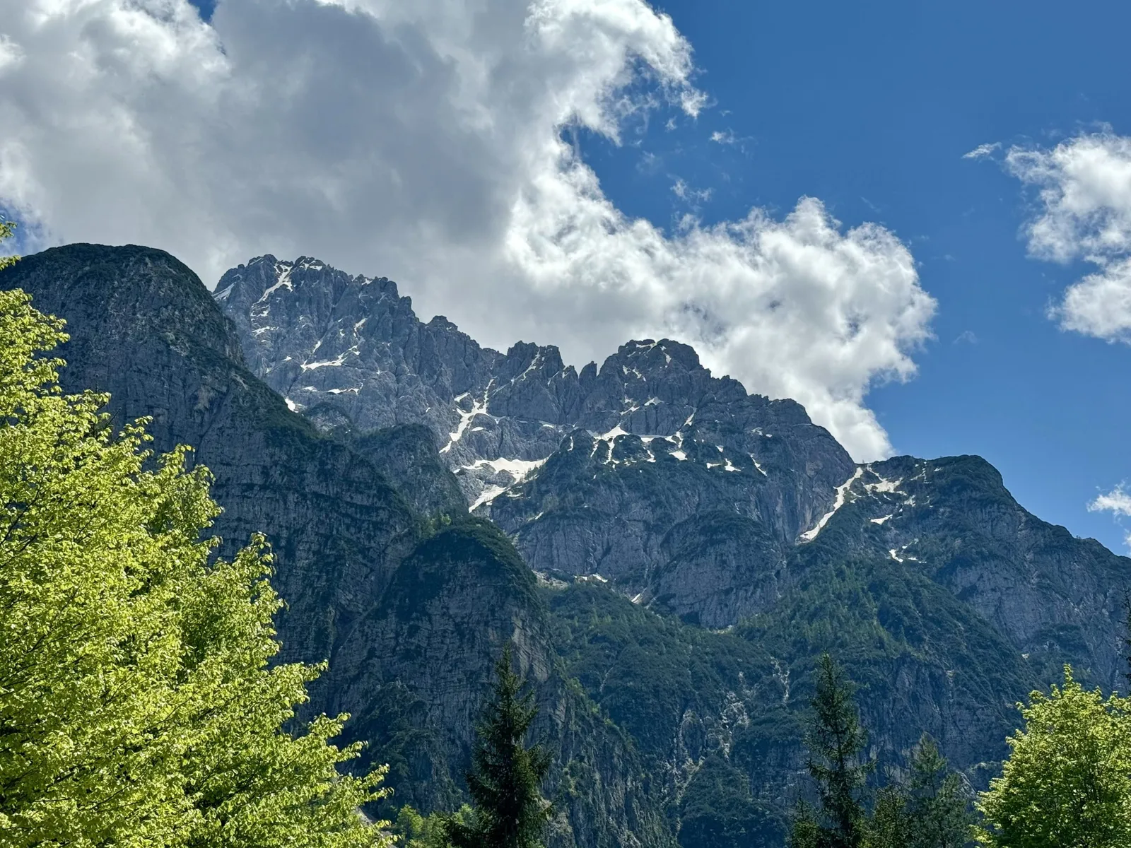 Steile Felswand mit Schneeflecken über Bäumen im Val Saisera unter blauem Himmel.