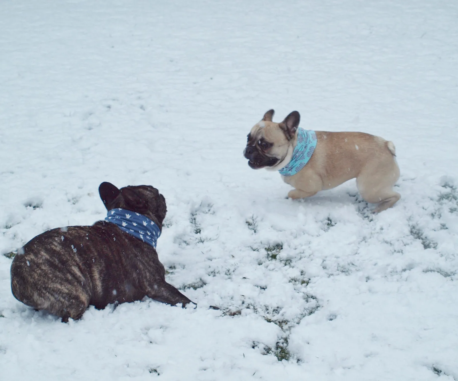 Playtime