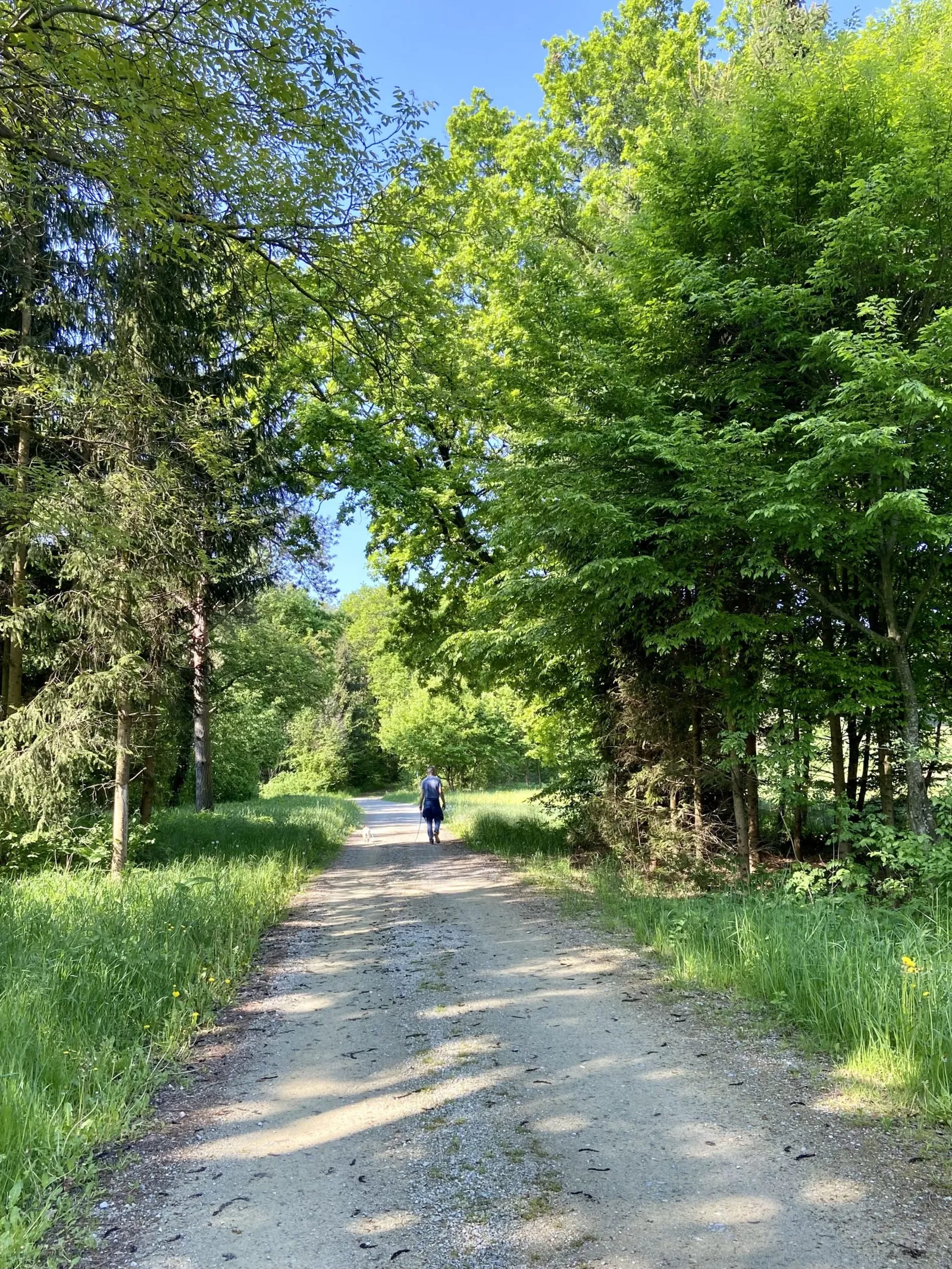 Murphy und der Lieblingsmensch gehen voran