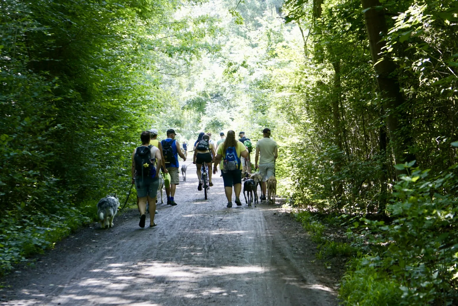 Lobau