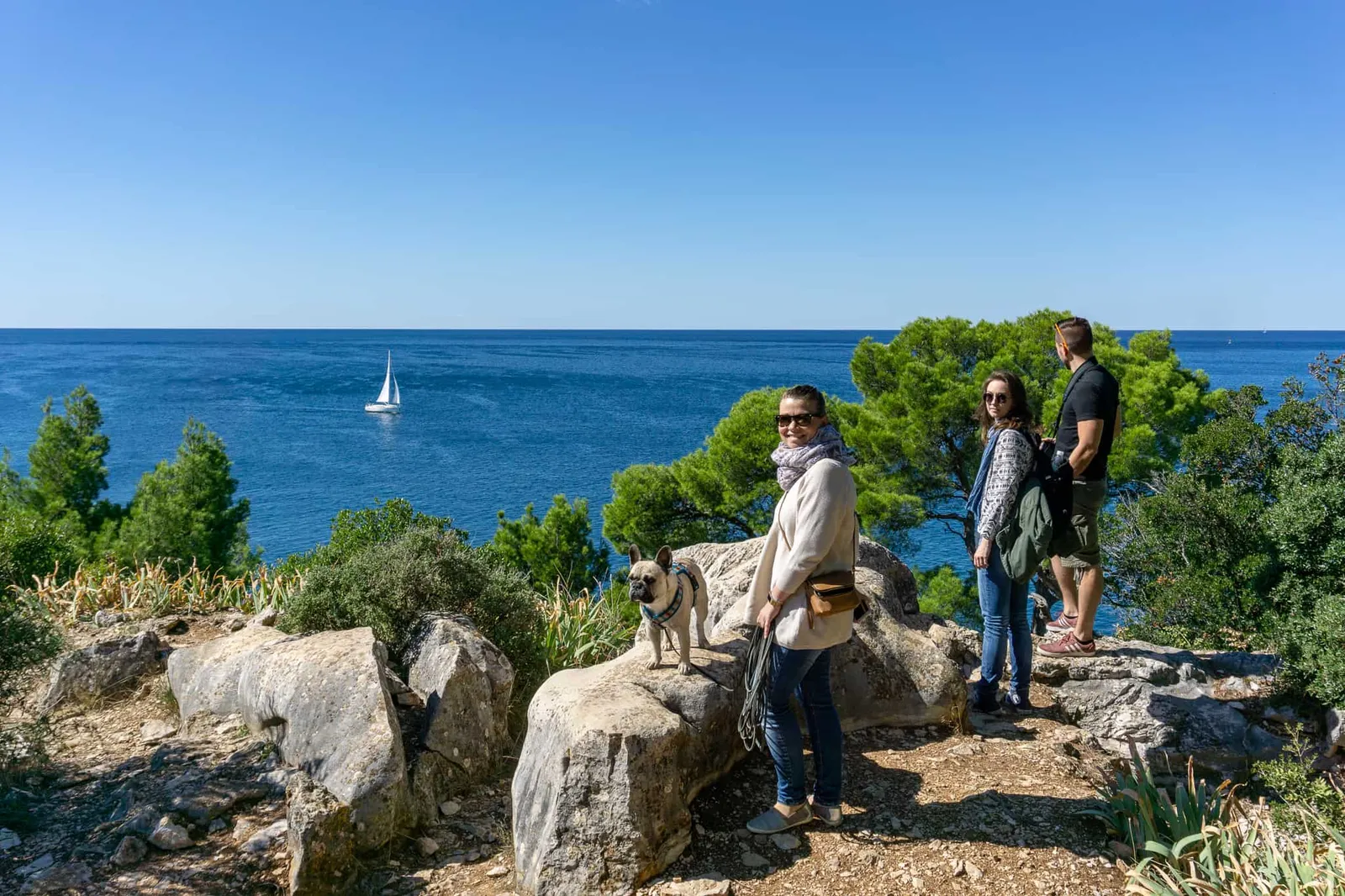 Rovinj Urlaub mit Hund Kroatien
