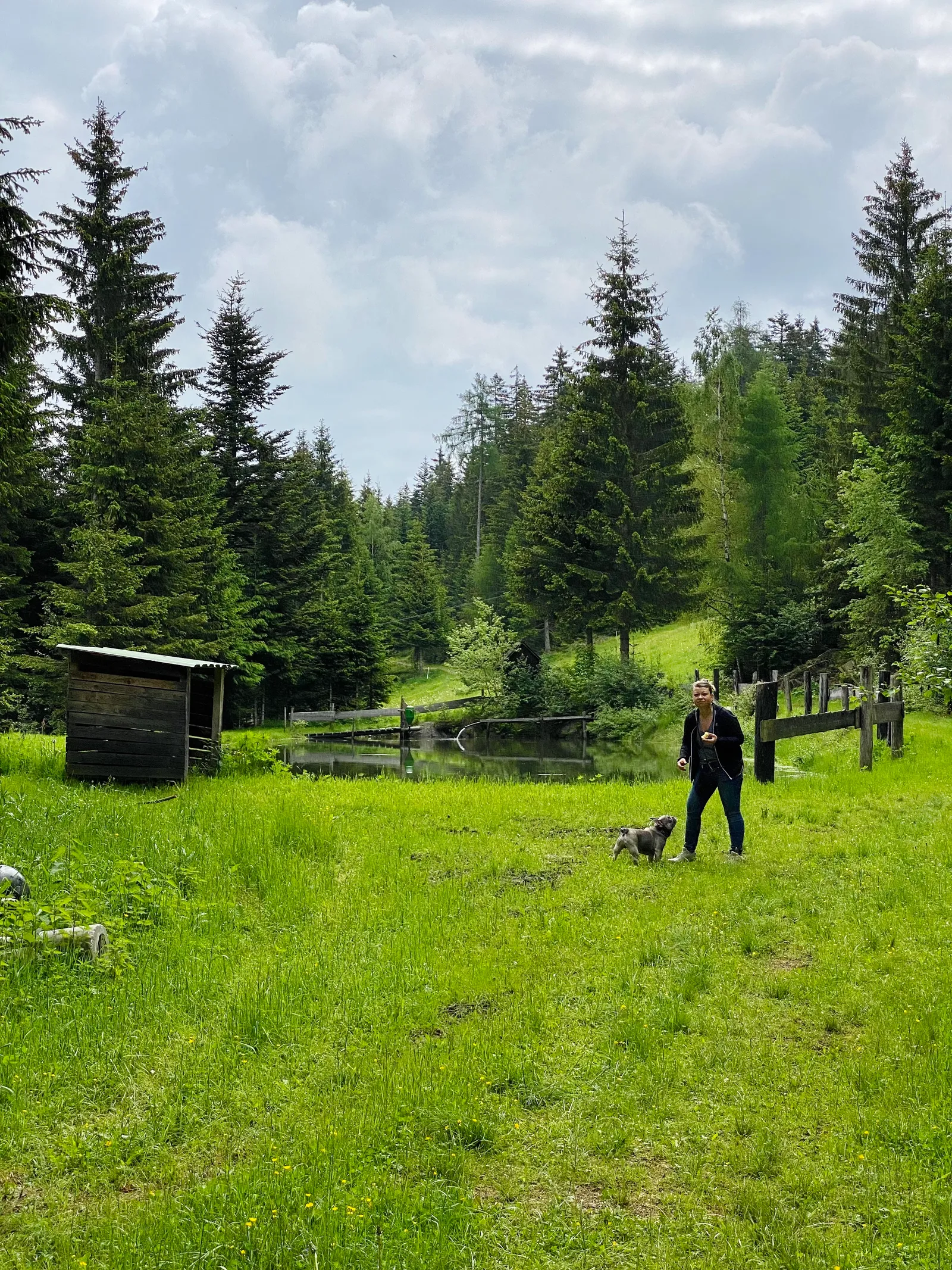 Hoiswirt Modriach Runde Teich Archie Babsi