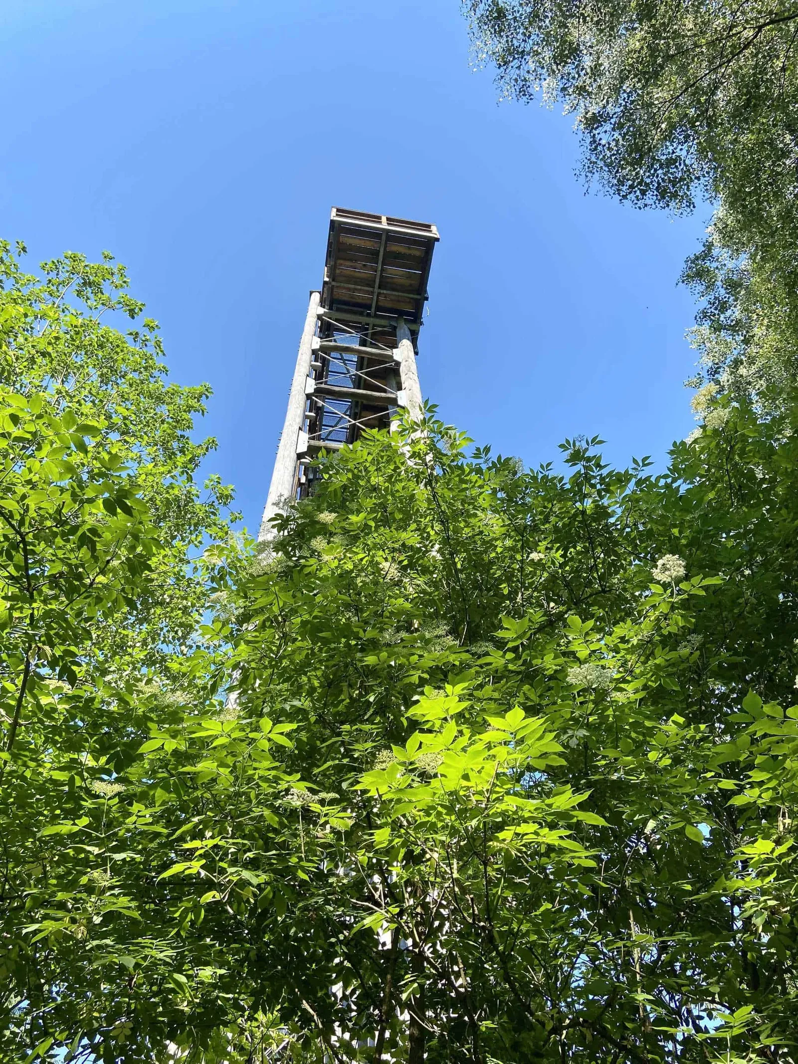 Himmelsleiter von unten