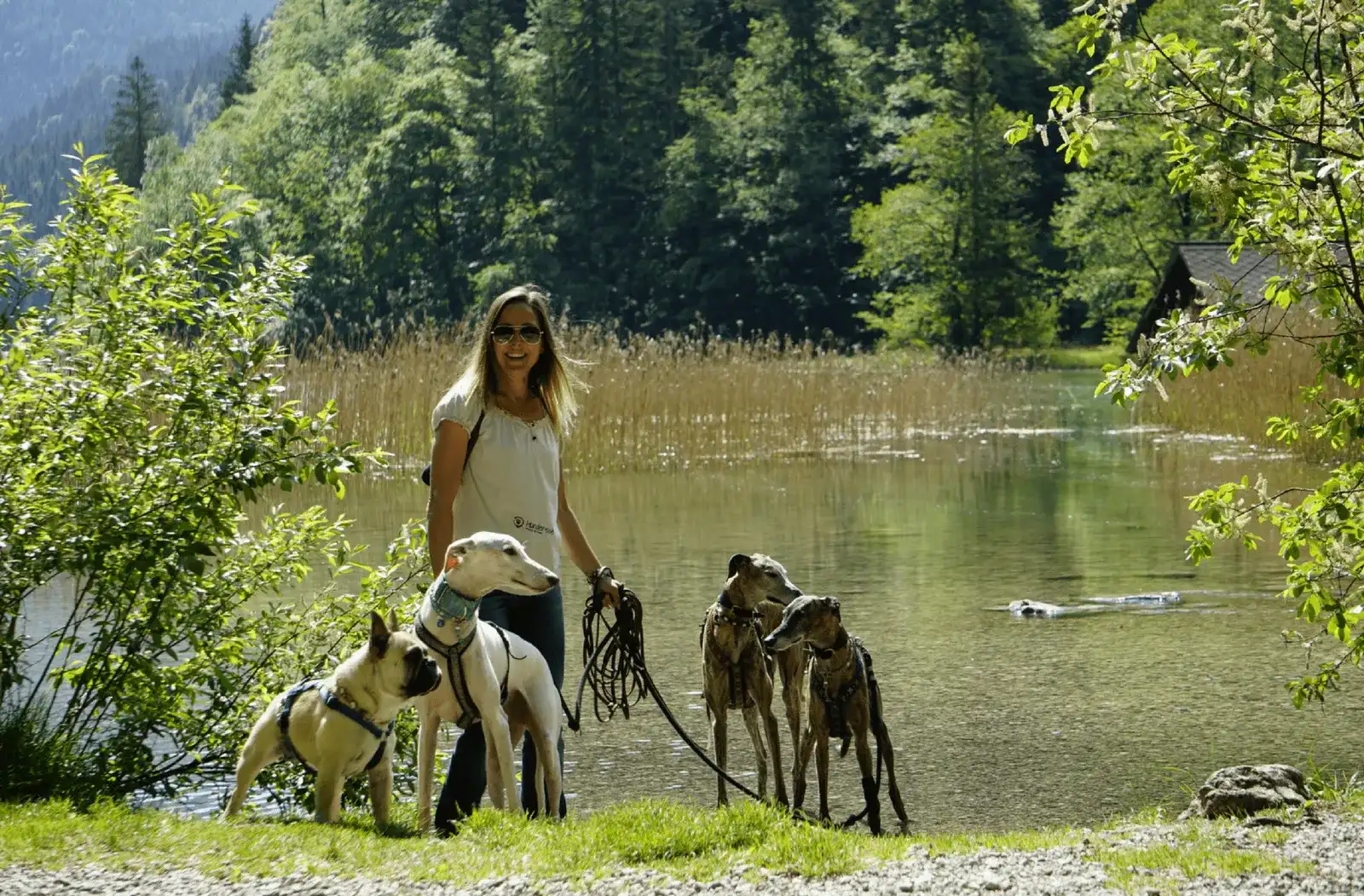 Urlaub mit Hund rund um den Präbichl, Region Eisenerz, Steiermark