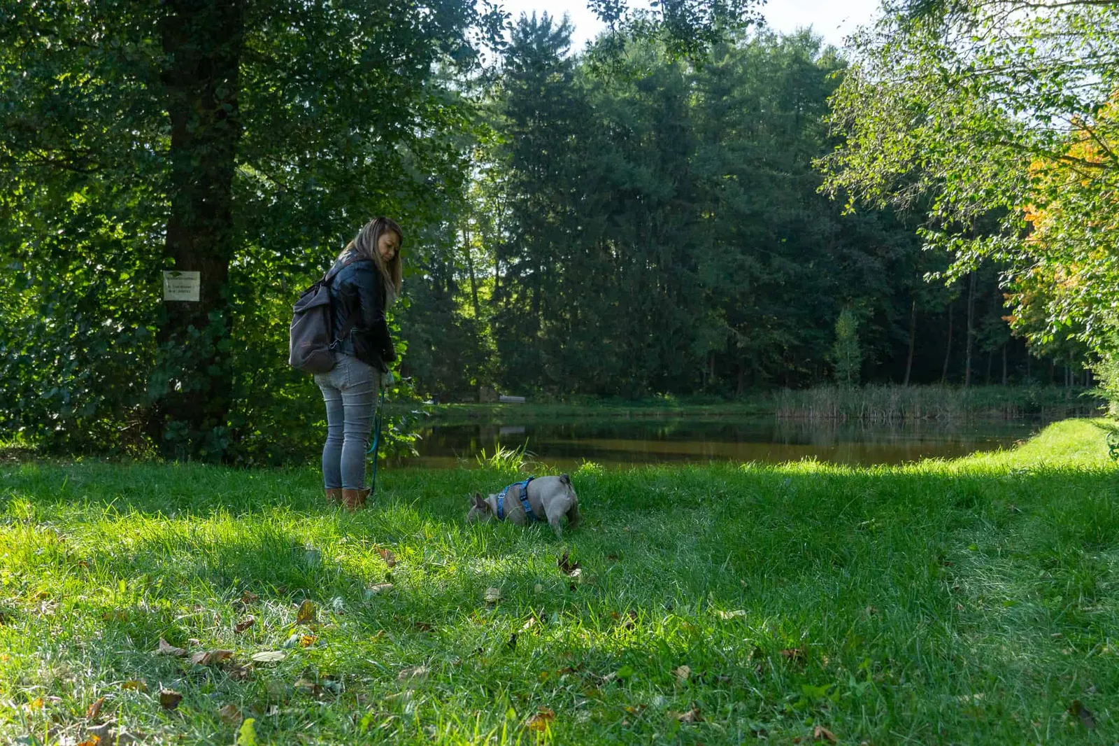 Waldviertel Zwettl Hundereise