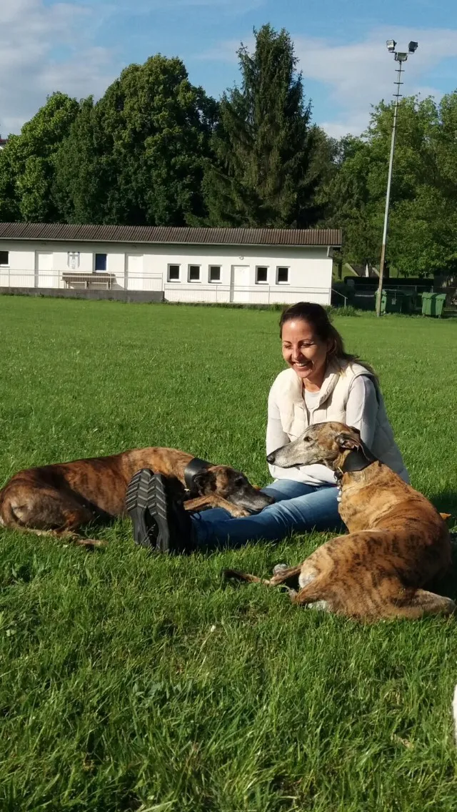 Intensiv Seminar Mensch-Hund-Beziehung