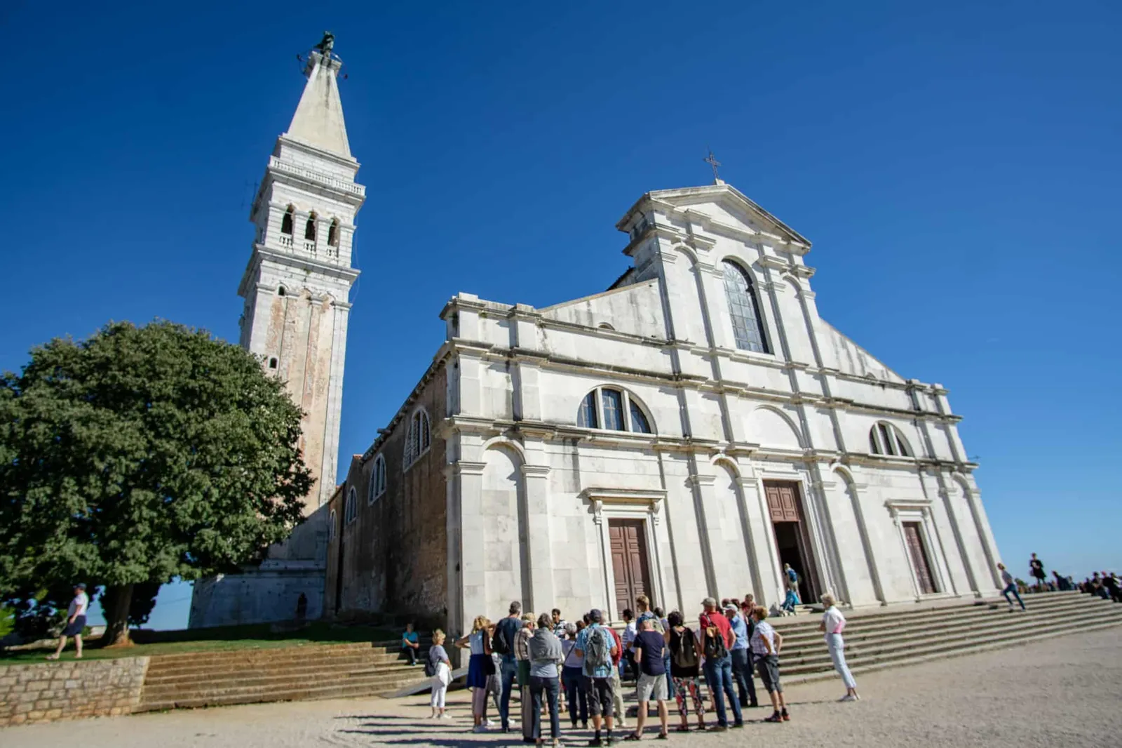 Rovinj Urlaub mit Hund Kroatien