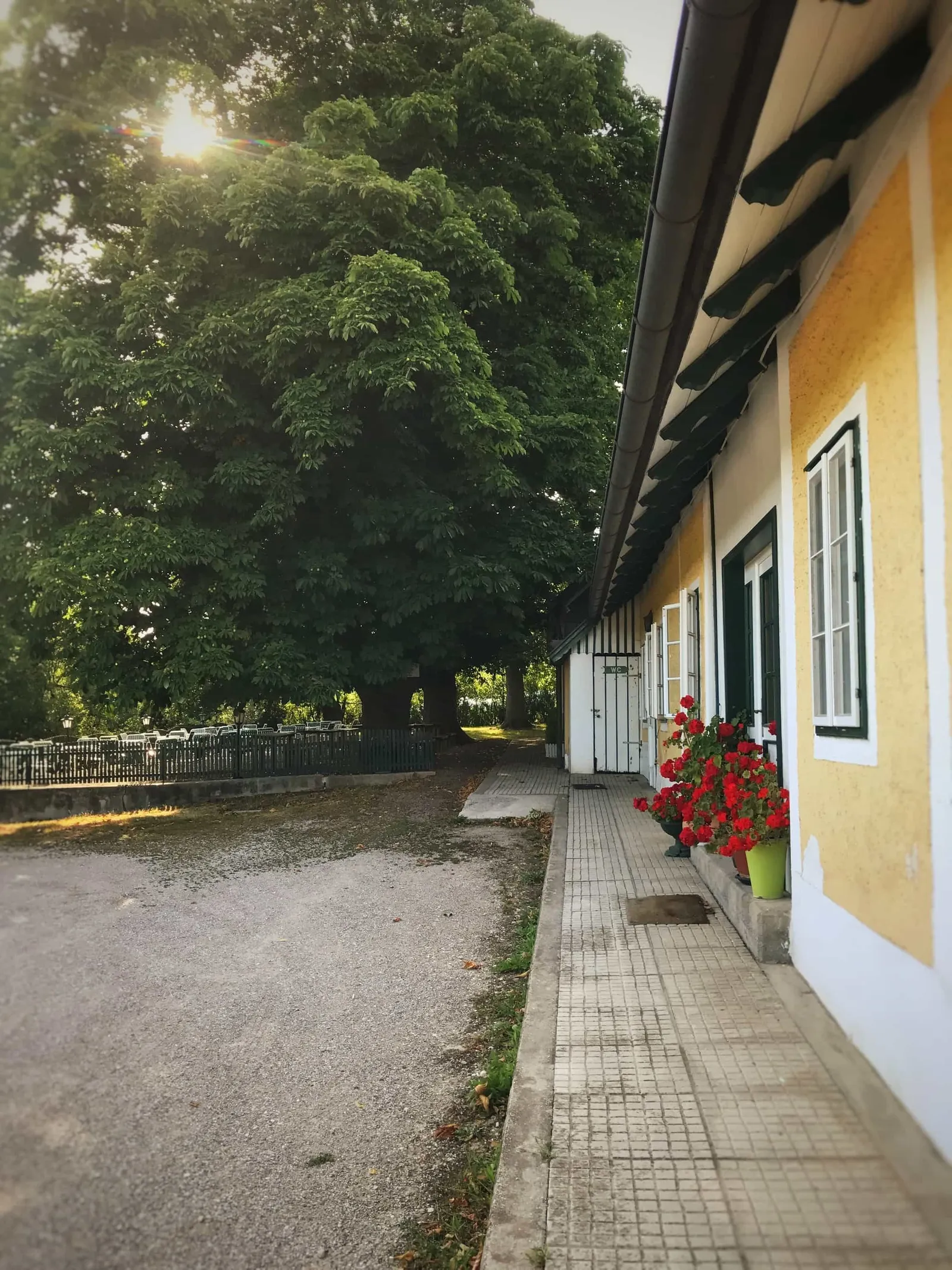 Ausflug mit Hund zur Meierei Füllenberg