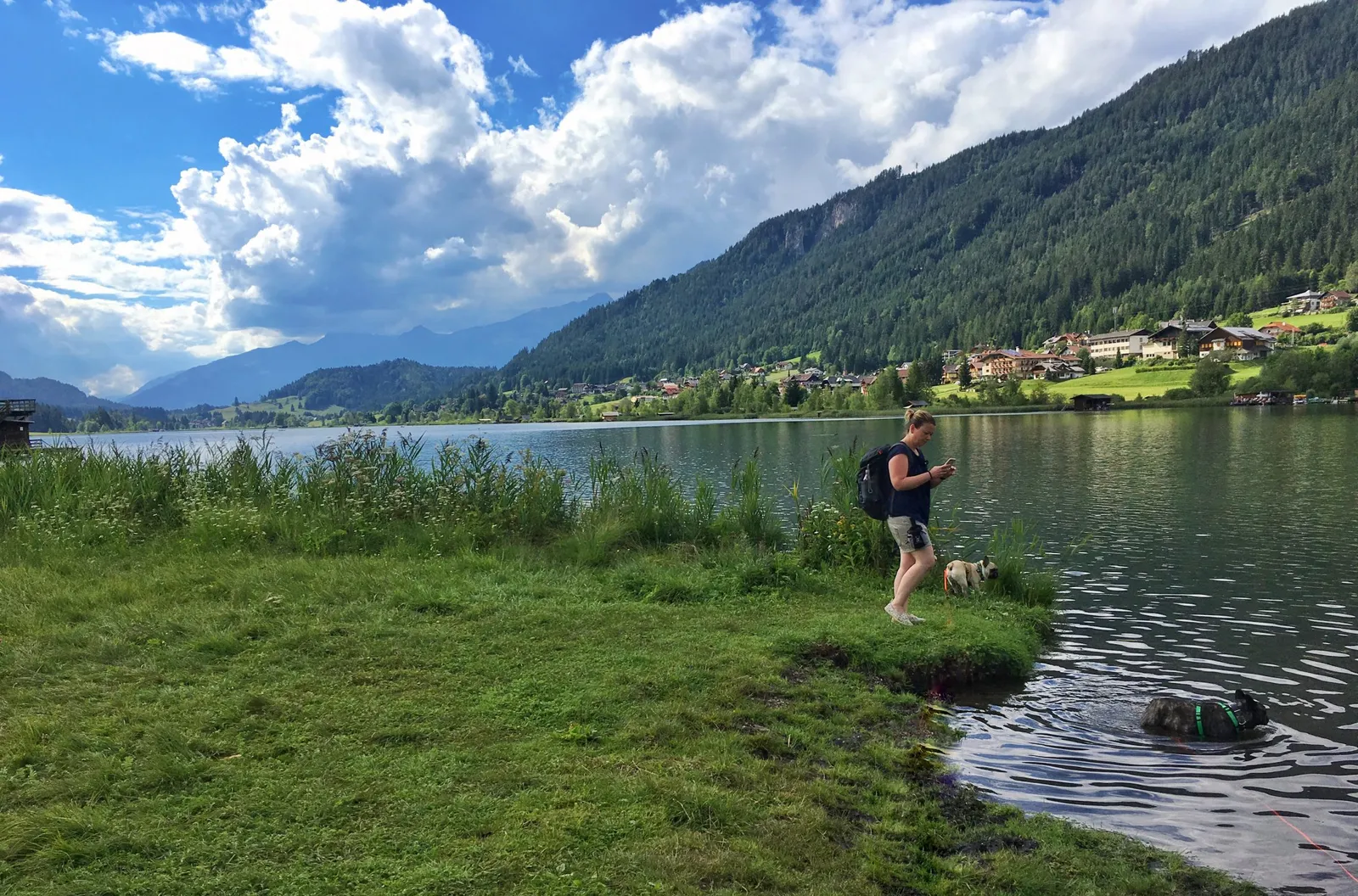 Urlaub mit Hund am Weissensee, Kärnten