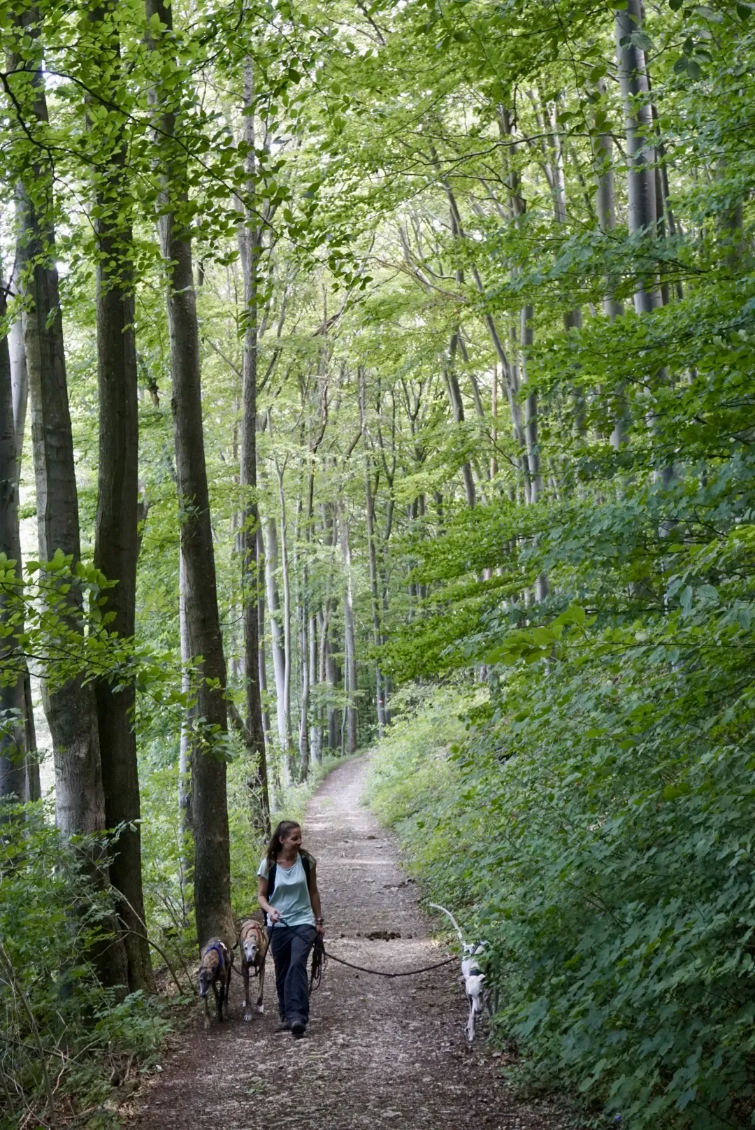 Peilstein Rundweg