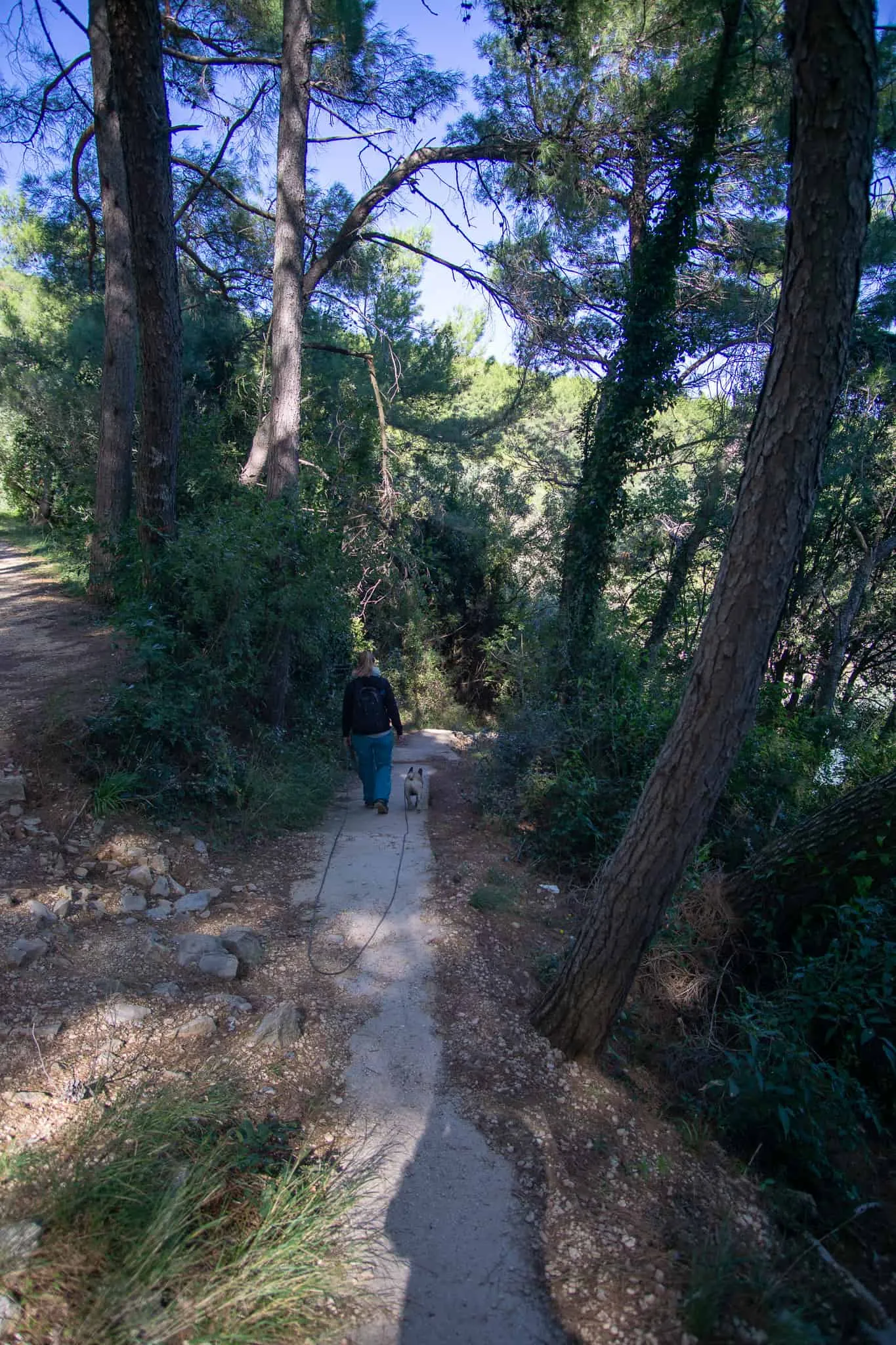 Urlaub Hund Kroatien Hundereise Rabac