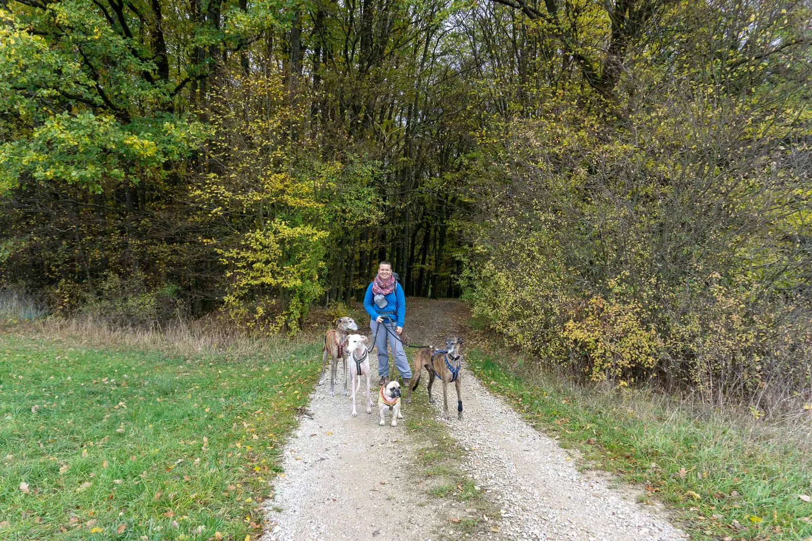 Hundereise Burgthann Rasch Deutschland
