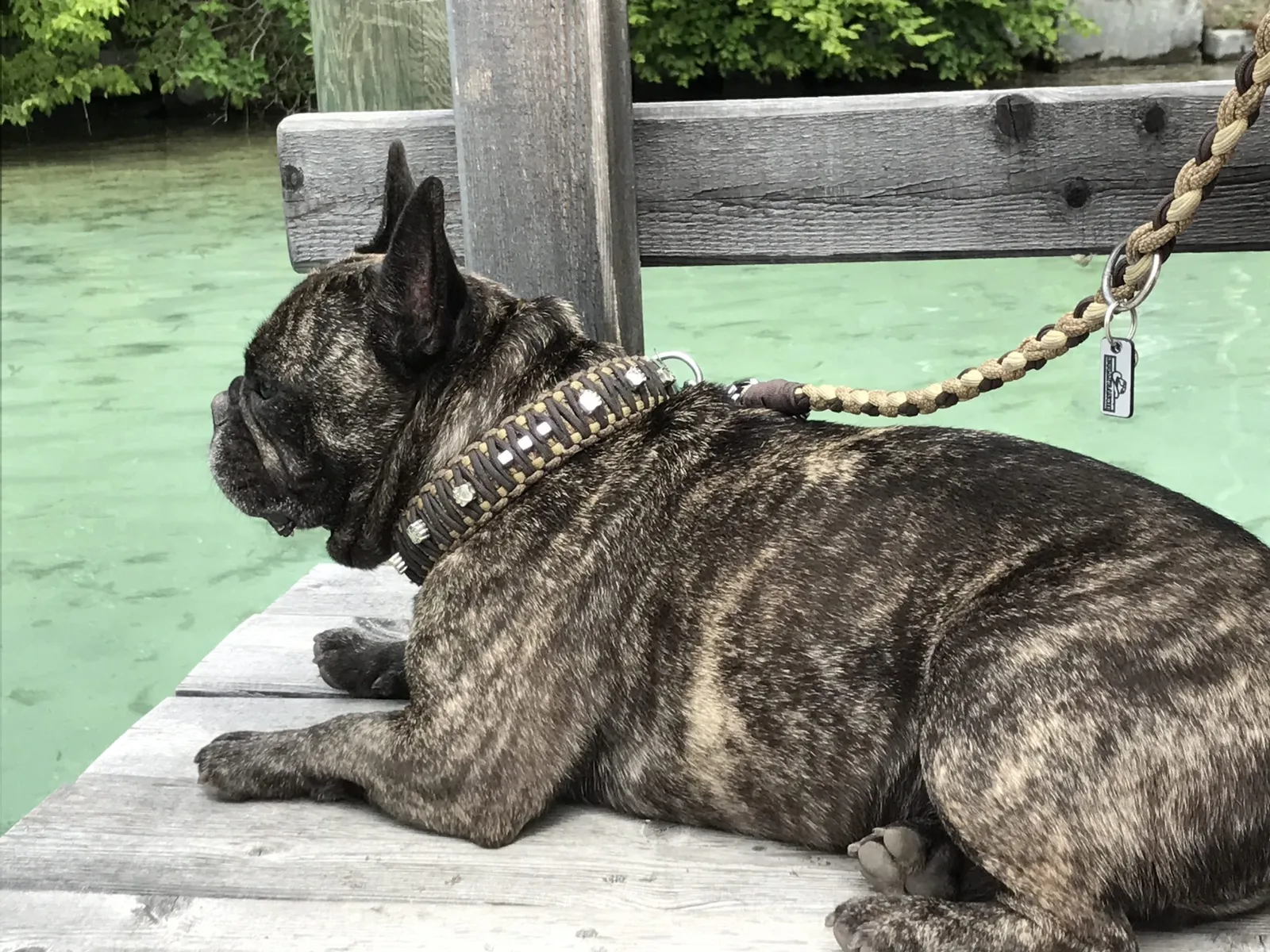 Urlaub mit Hund am Weissensee, Kärnten