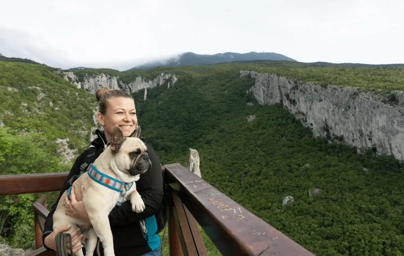 Urlaub mit Hund in Istrien, Kroatien - Teil 1