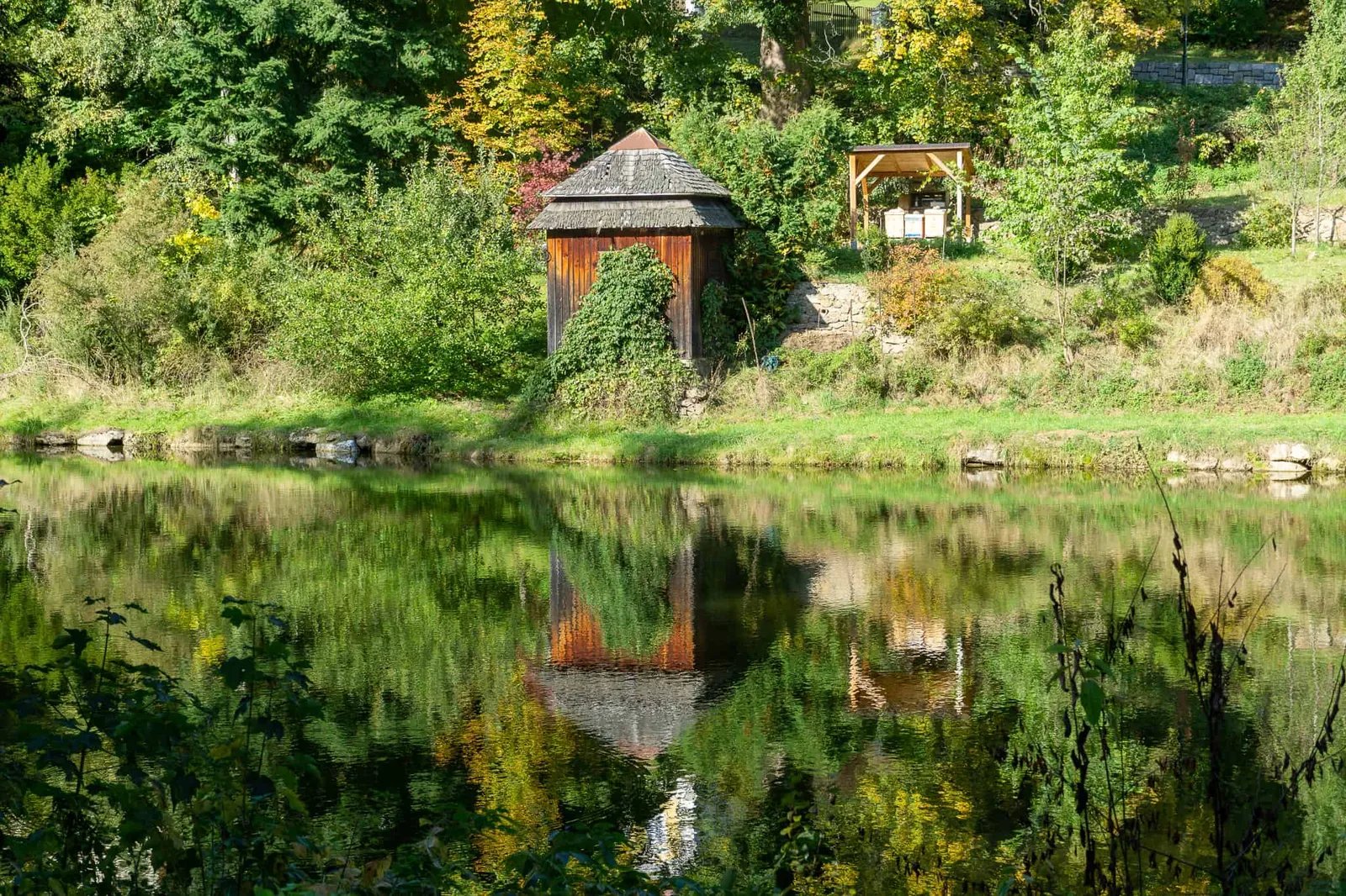 Waldviertel Zwettl Hundereise