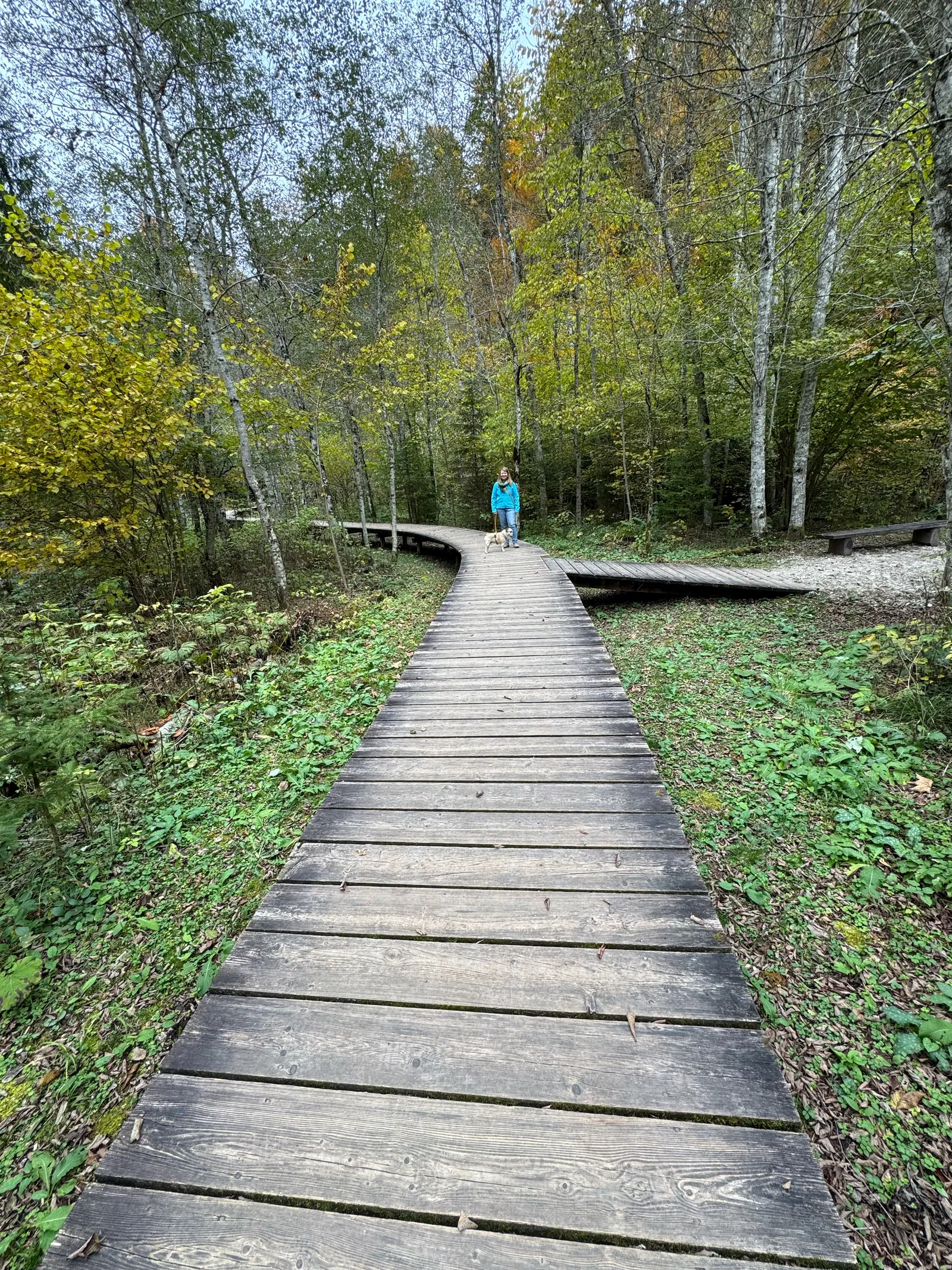 Babsi und Murphy gehen auf einem Holzsteg durch einen herbstlichen Laubwald im Mendlingtal.