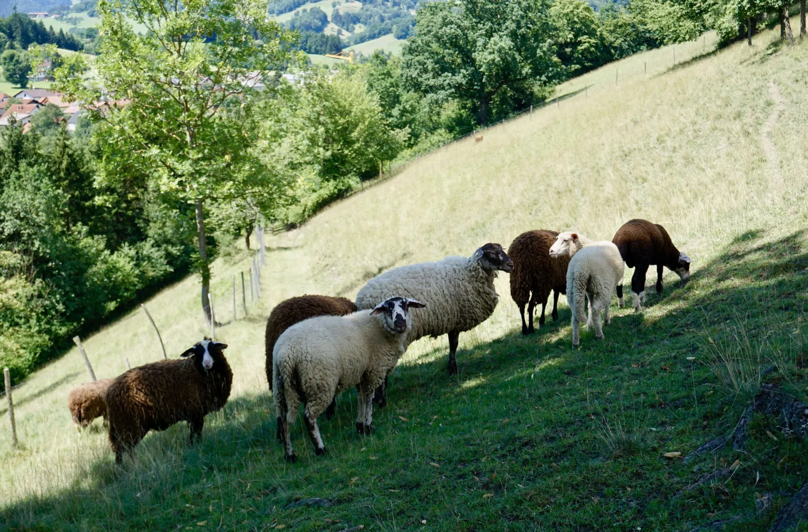 Kirchberg an der Pielach