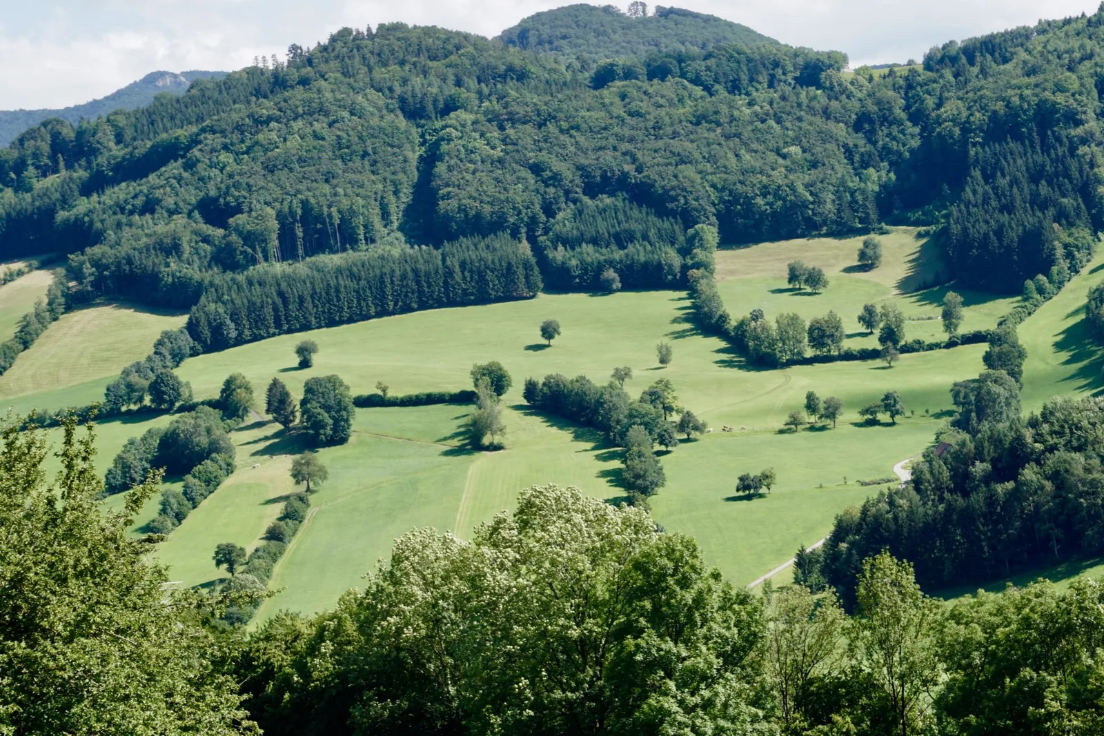 Tradigist