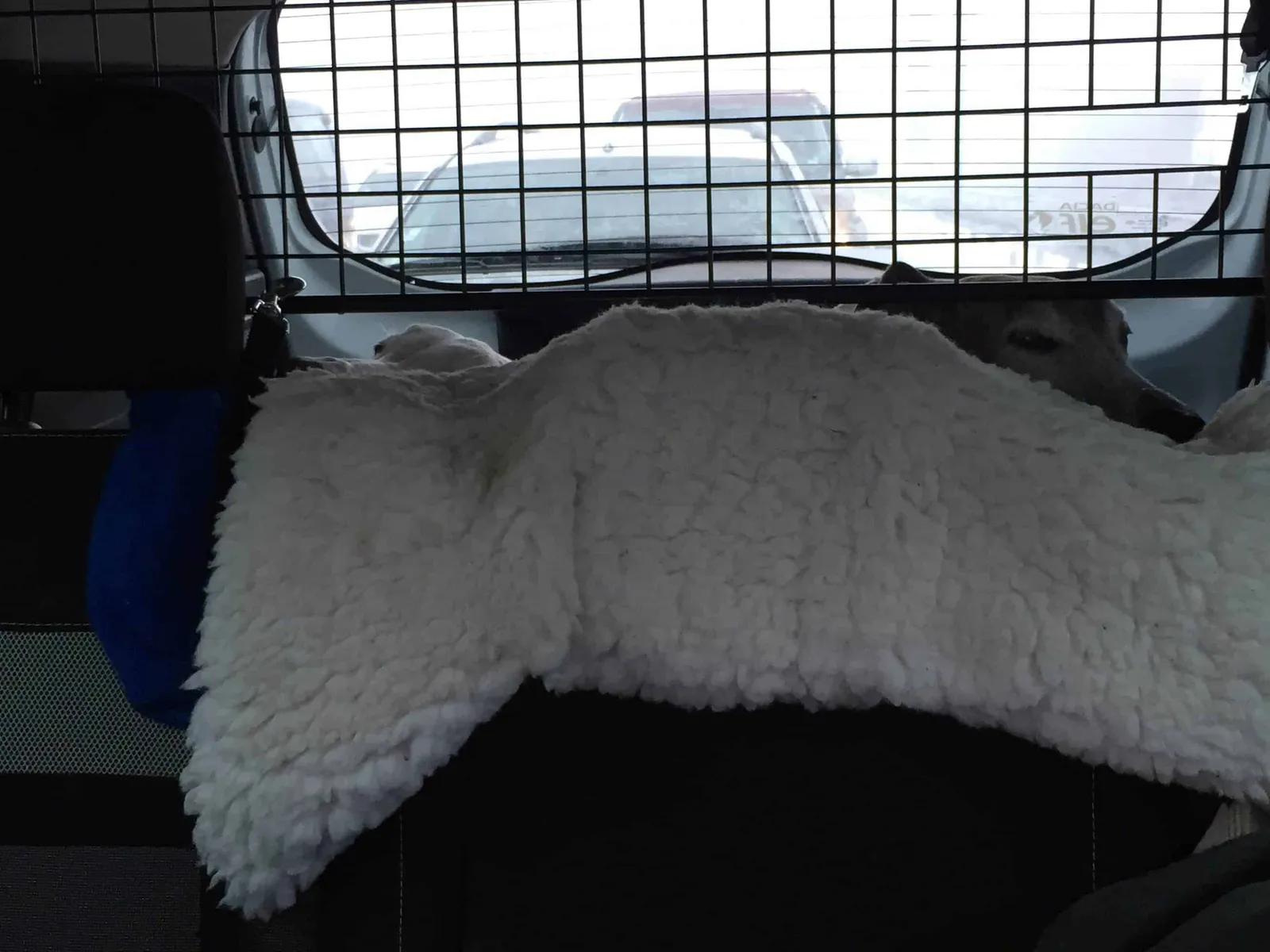 Urlaub mit Hund in Griechenland - die Anreise