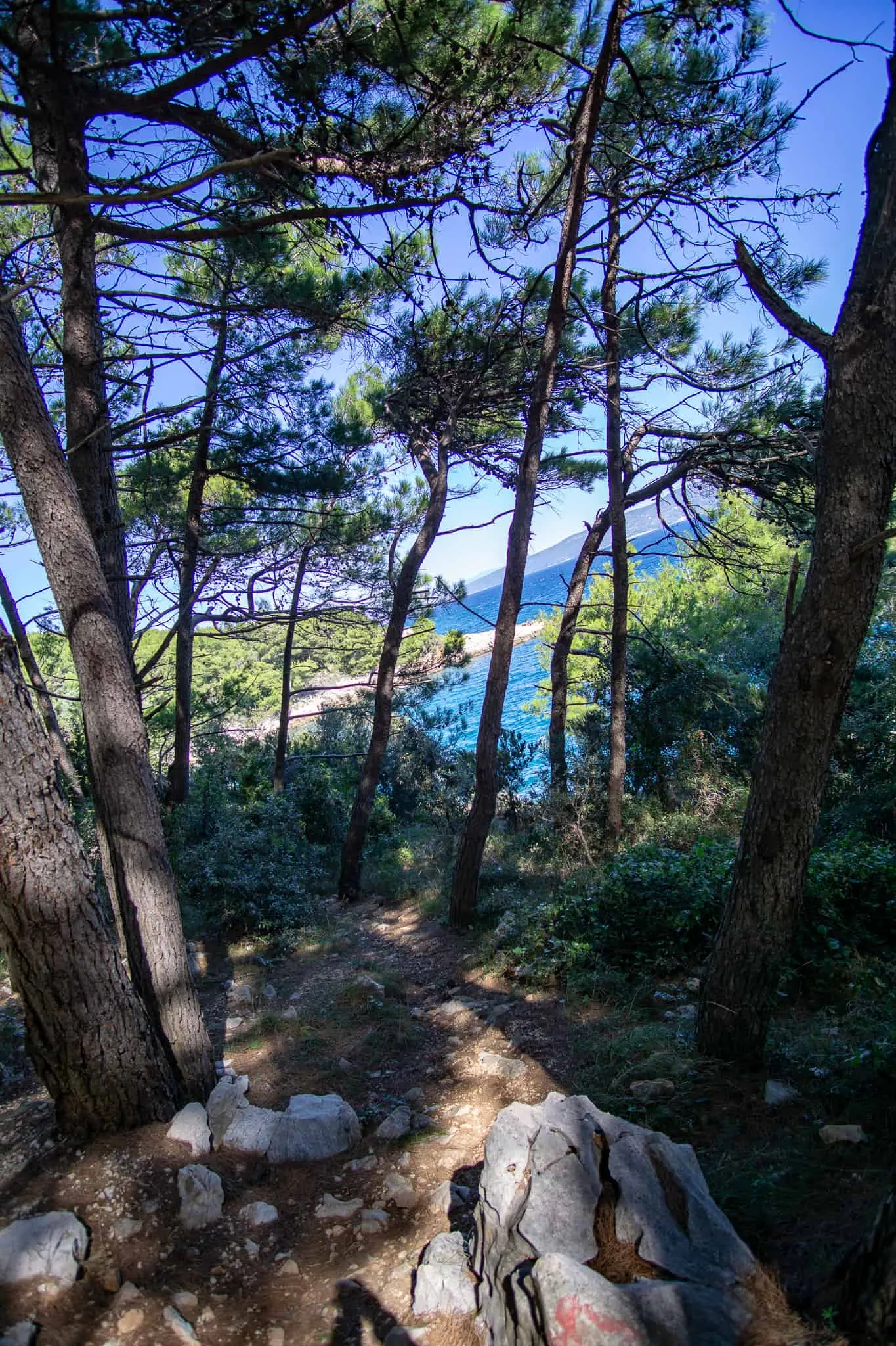 Urlaub Hund Kroatien Hundereise Rabac