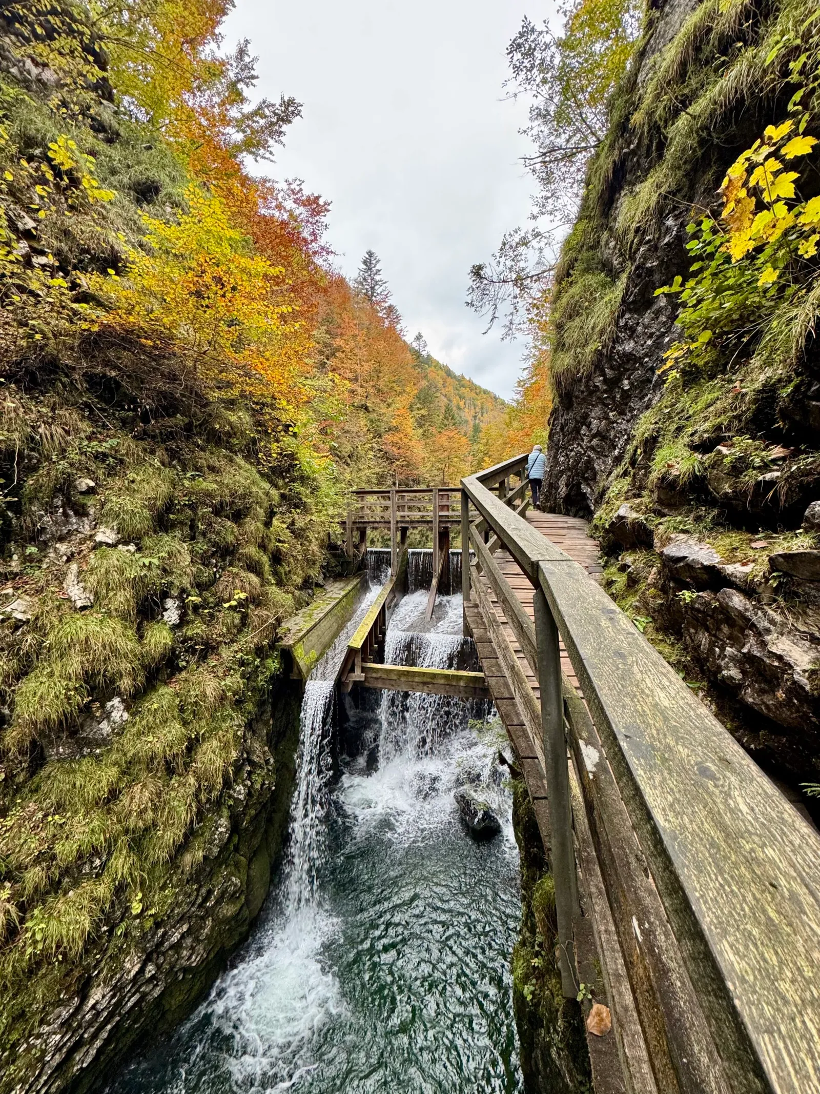 Holzstege führen durch eine enge Schlucht mit Wasserfällen und herbstlich gefärbten Bäumen, im Hintergrund eine Person.