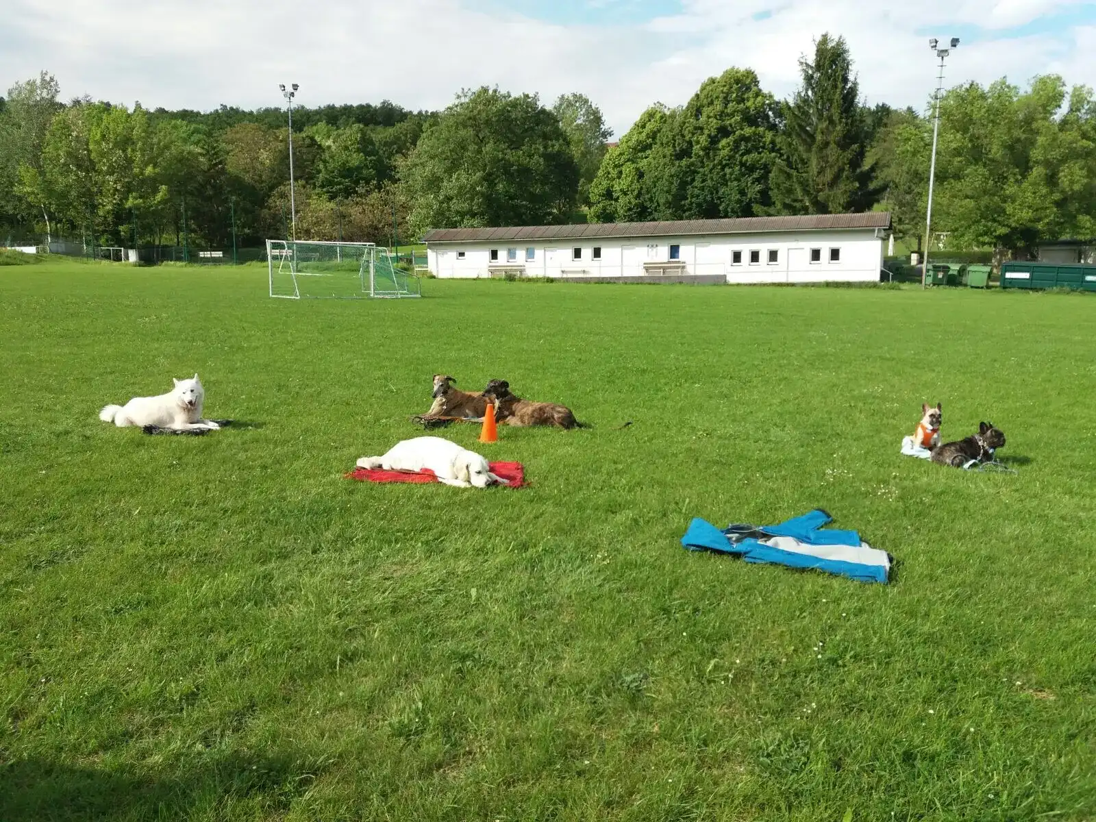 Intensiv Seminar Mensch-Hund-Beziehung