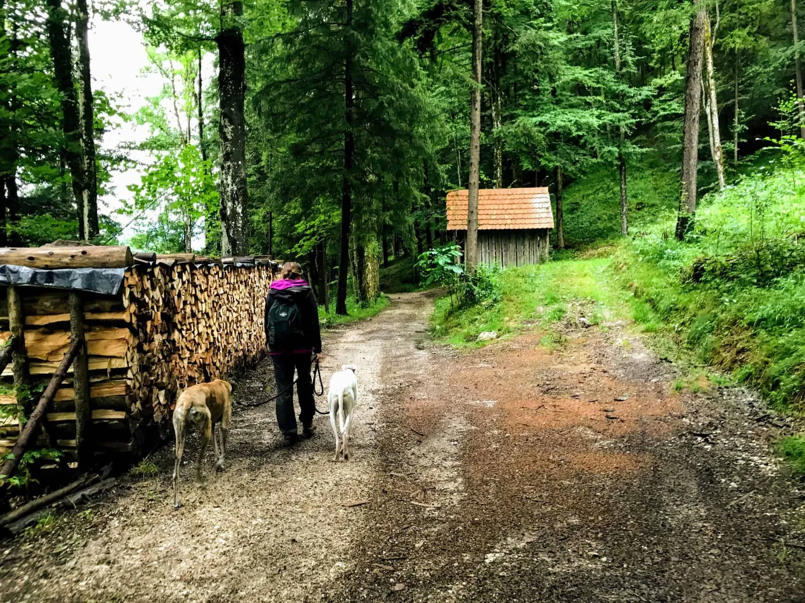 Golfplatzrunde Salzkammergut