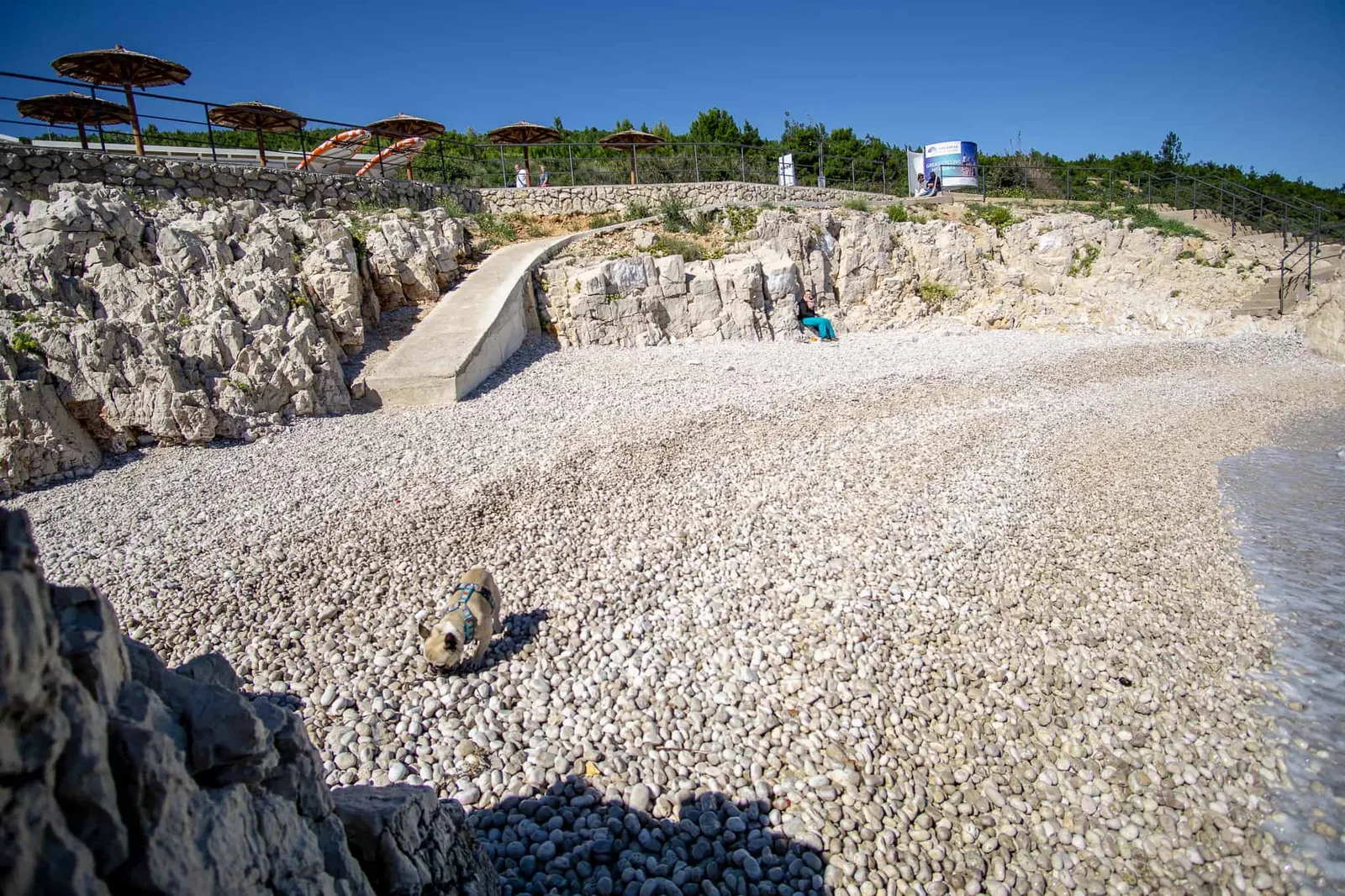 Urlaub Hund Kroatien Hundereise Rabac