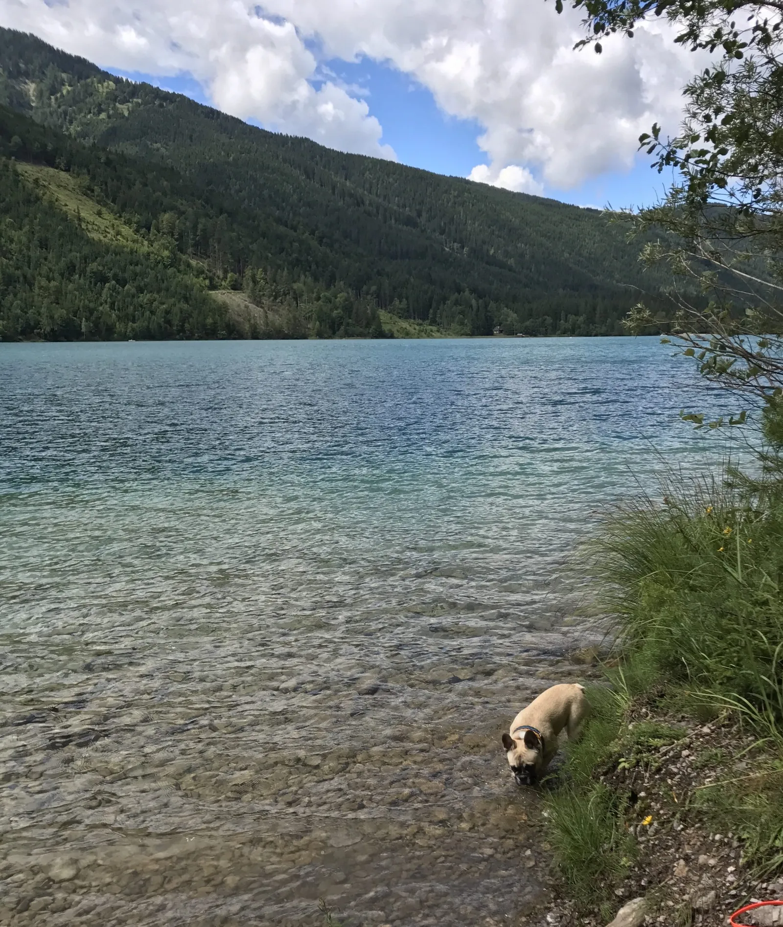 Weissensee