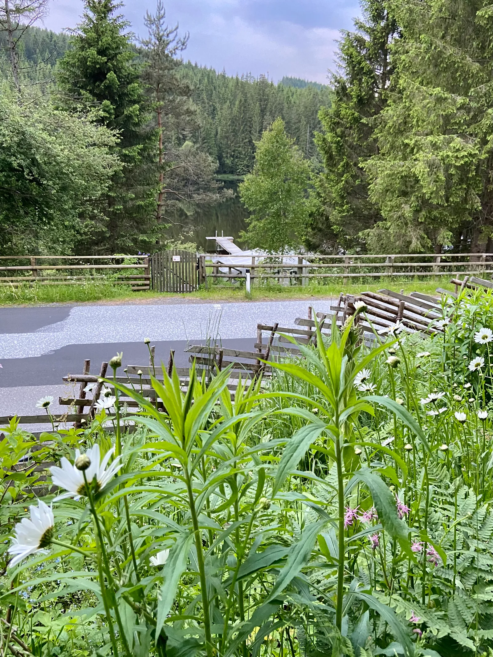 Strasse hinueber zum Seegrundstueck