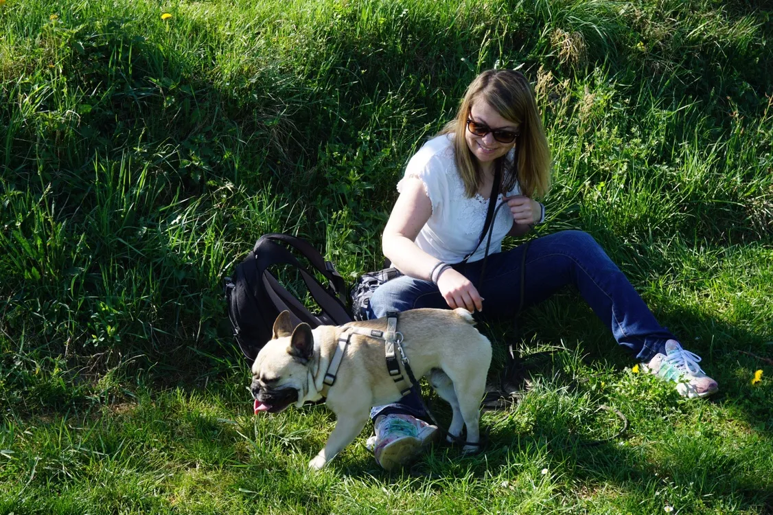 Hundeurlaub