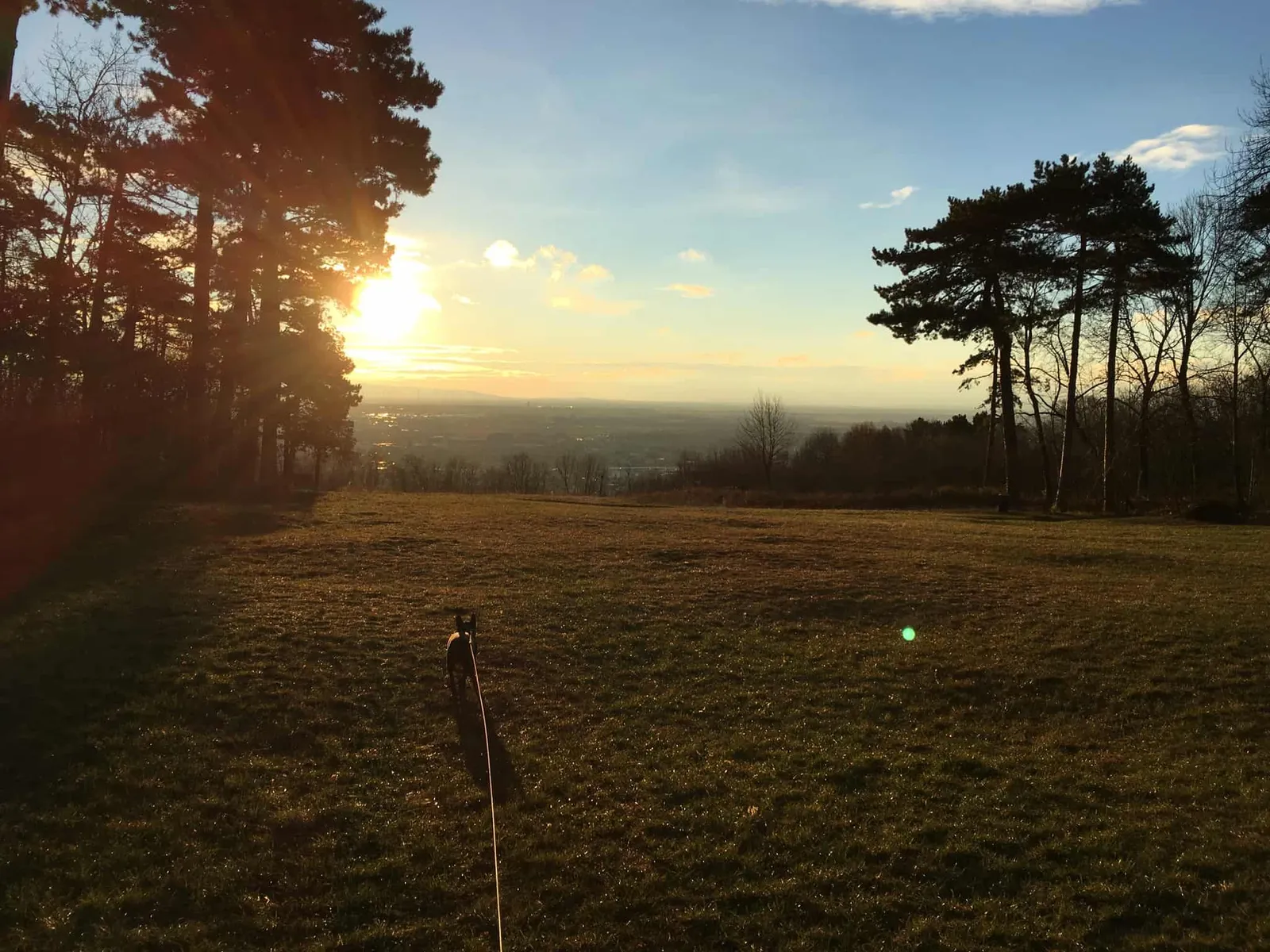 Wanderungen mit Hund rund um Baden bei Wien, Niederösterreich